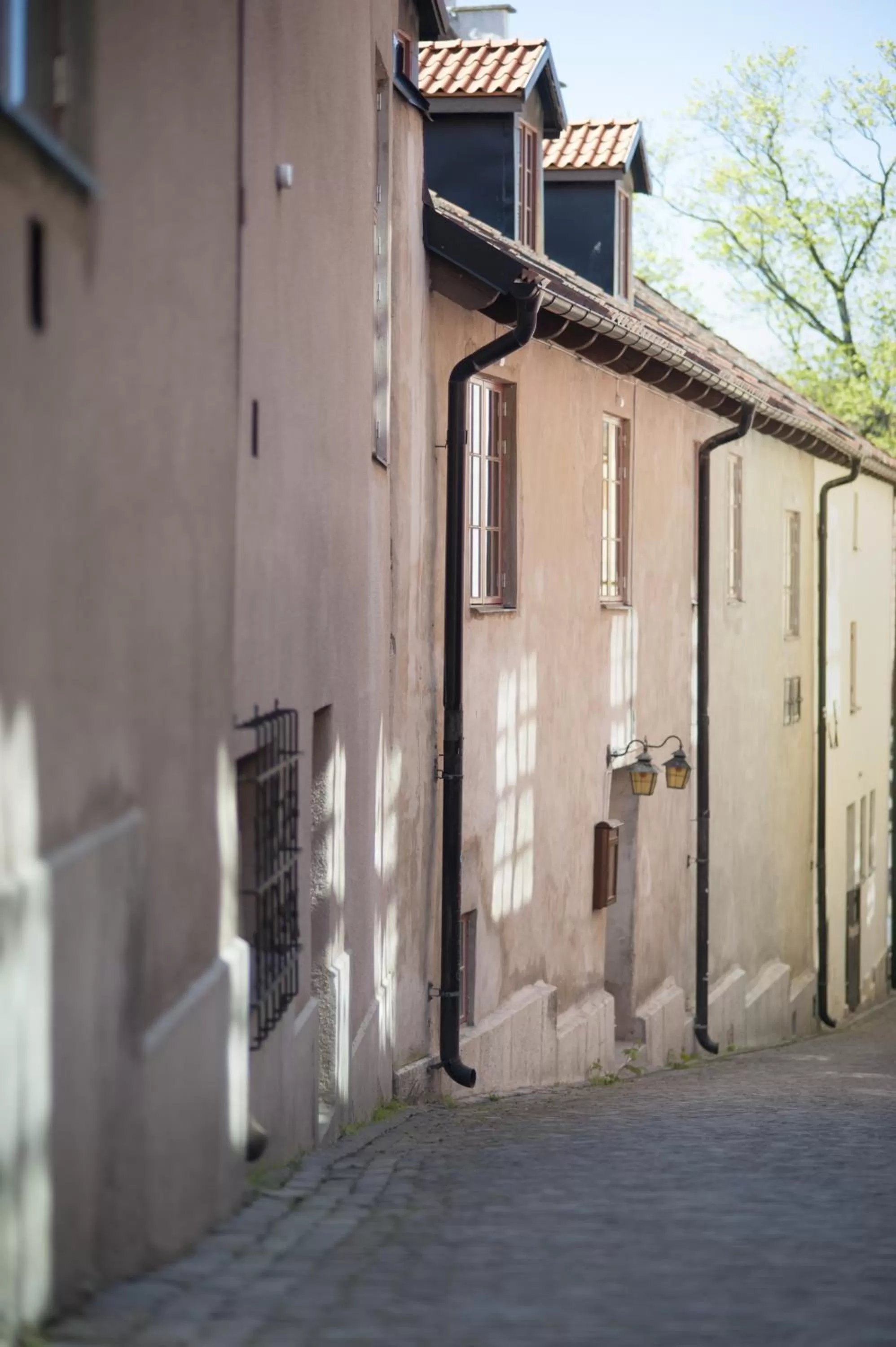 Area and facilities in Hotell Repet