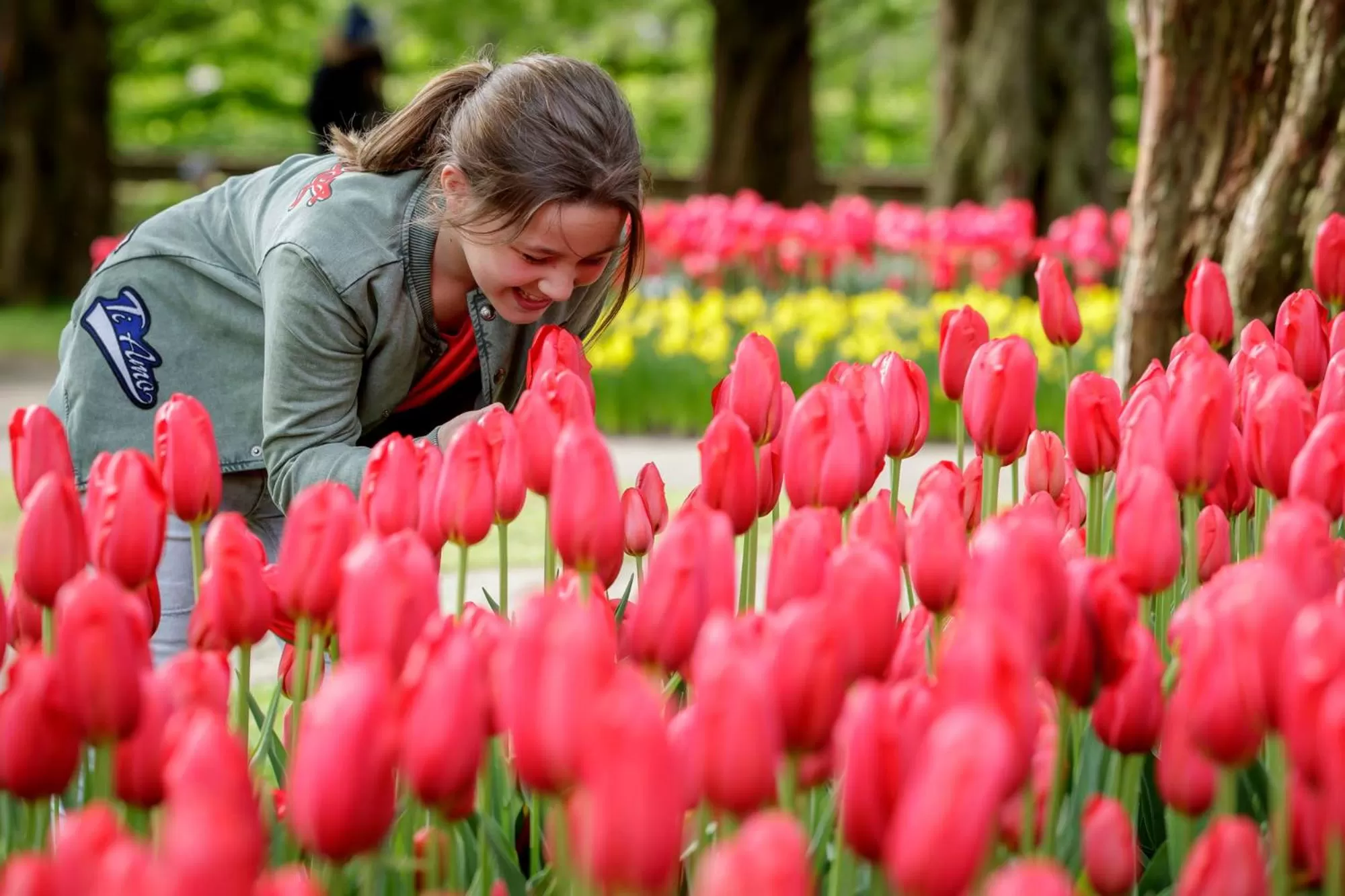 Natural landscape in ibis Styles Haarlem City