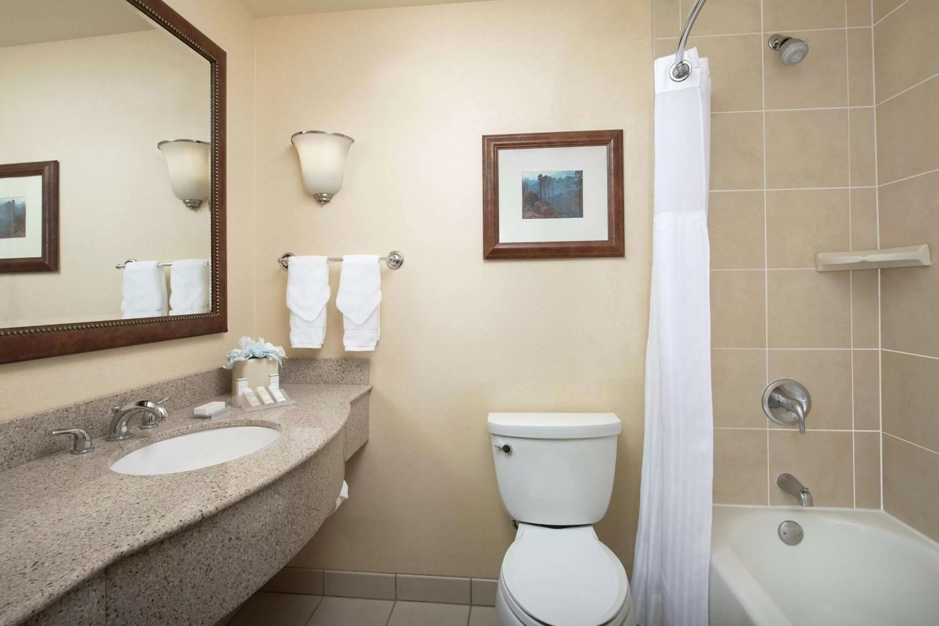 Bathroom in Hilton Garden Inn Yakima Downtown