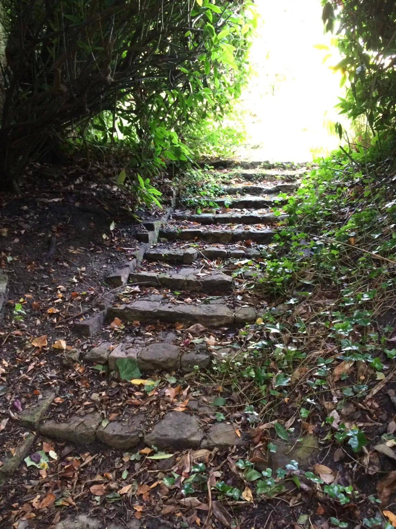 Garden in Chambres d'Hôtes Au coin du spa