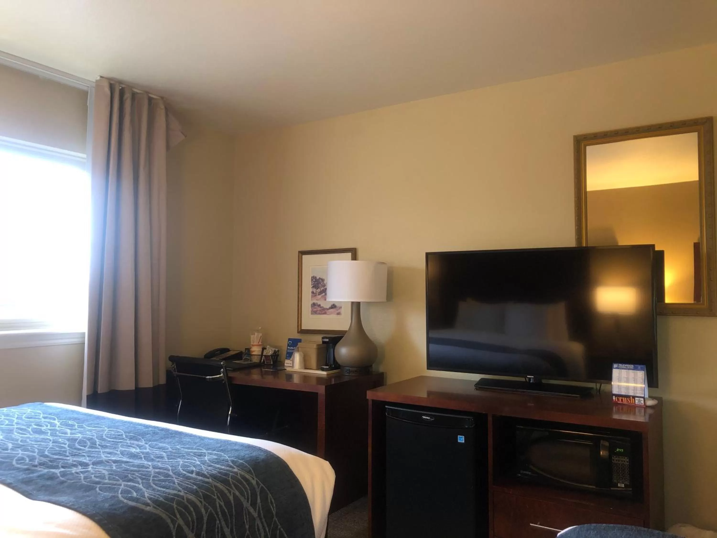 Evening entertainment, Bed in Comfort Inn & Suites Ukiah Mendocino County