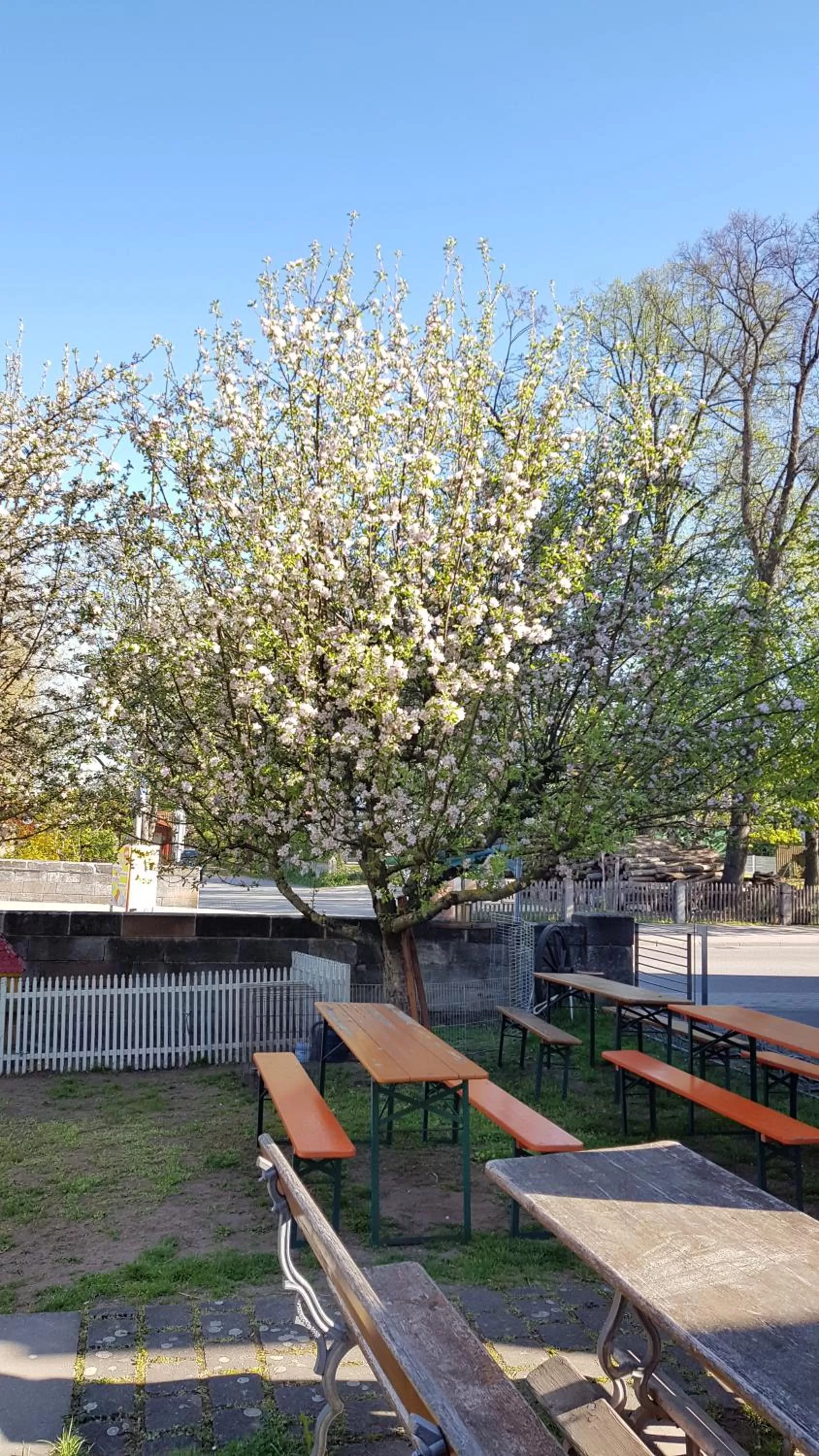 Balcony/Terrace in Hotel und Gasthof Ritter St. Georg