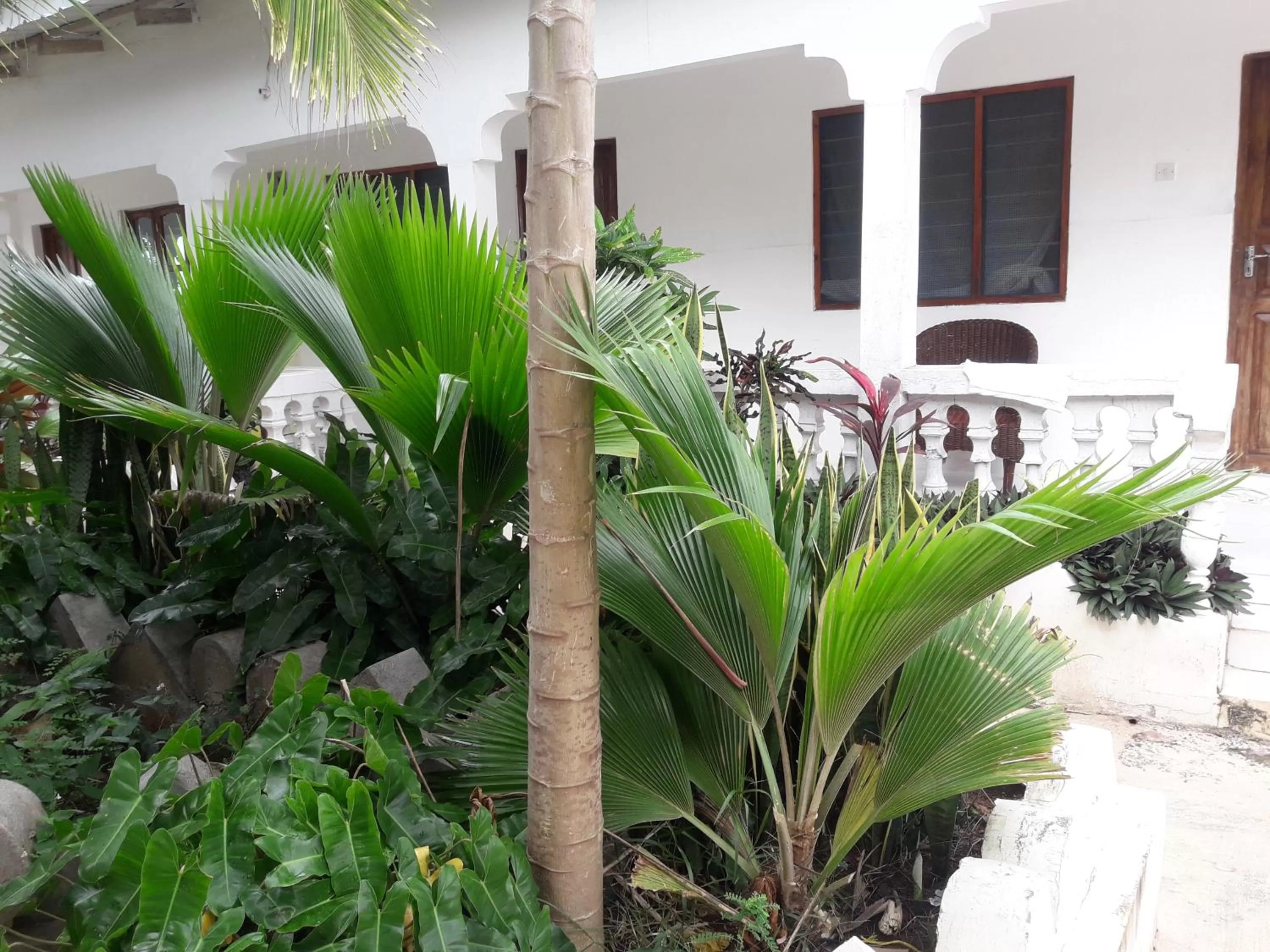 Facade/entrance in Ebony & Ivory Beach Bungalows