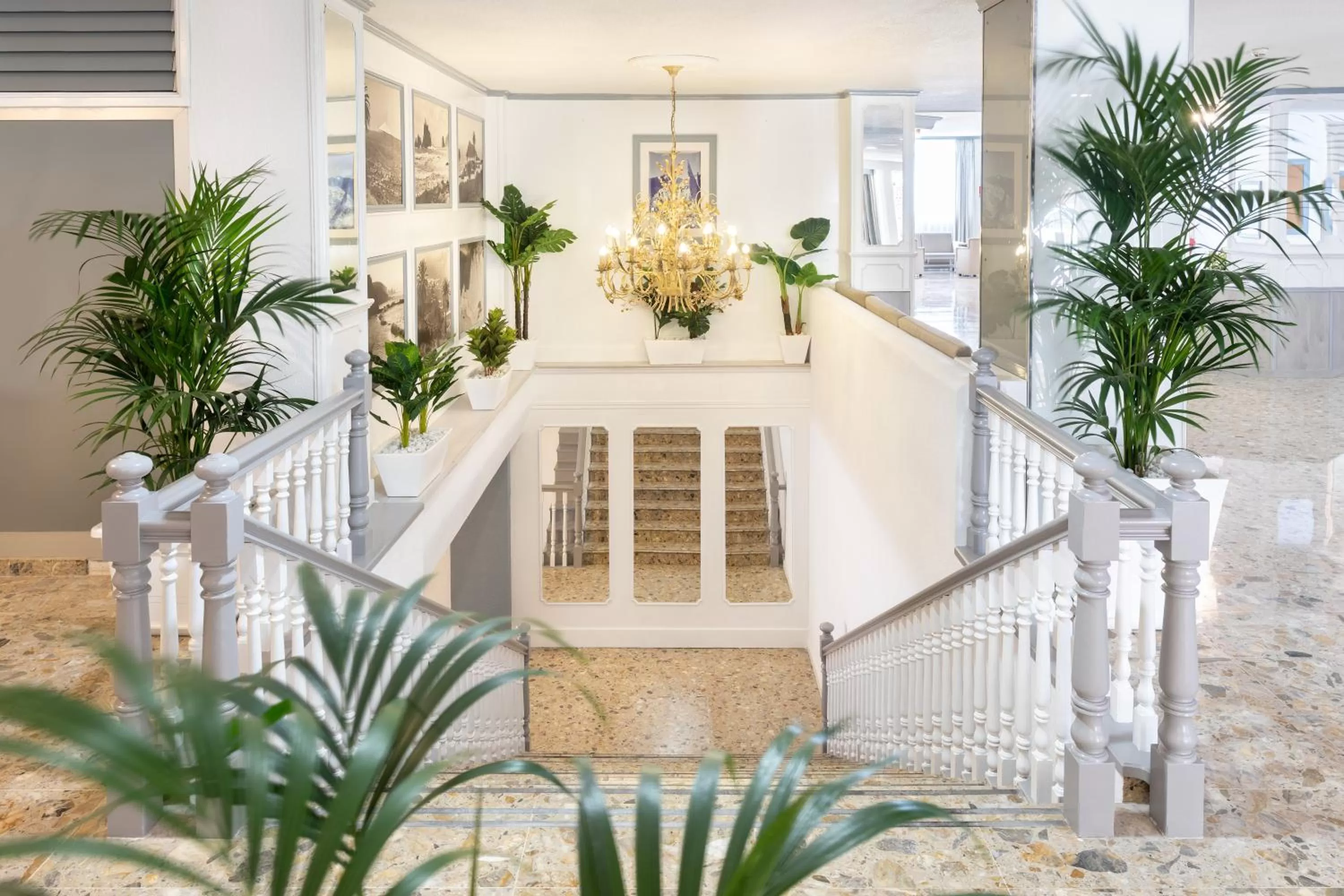 Lobby or reception in Hotel Panoramica Garden