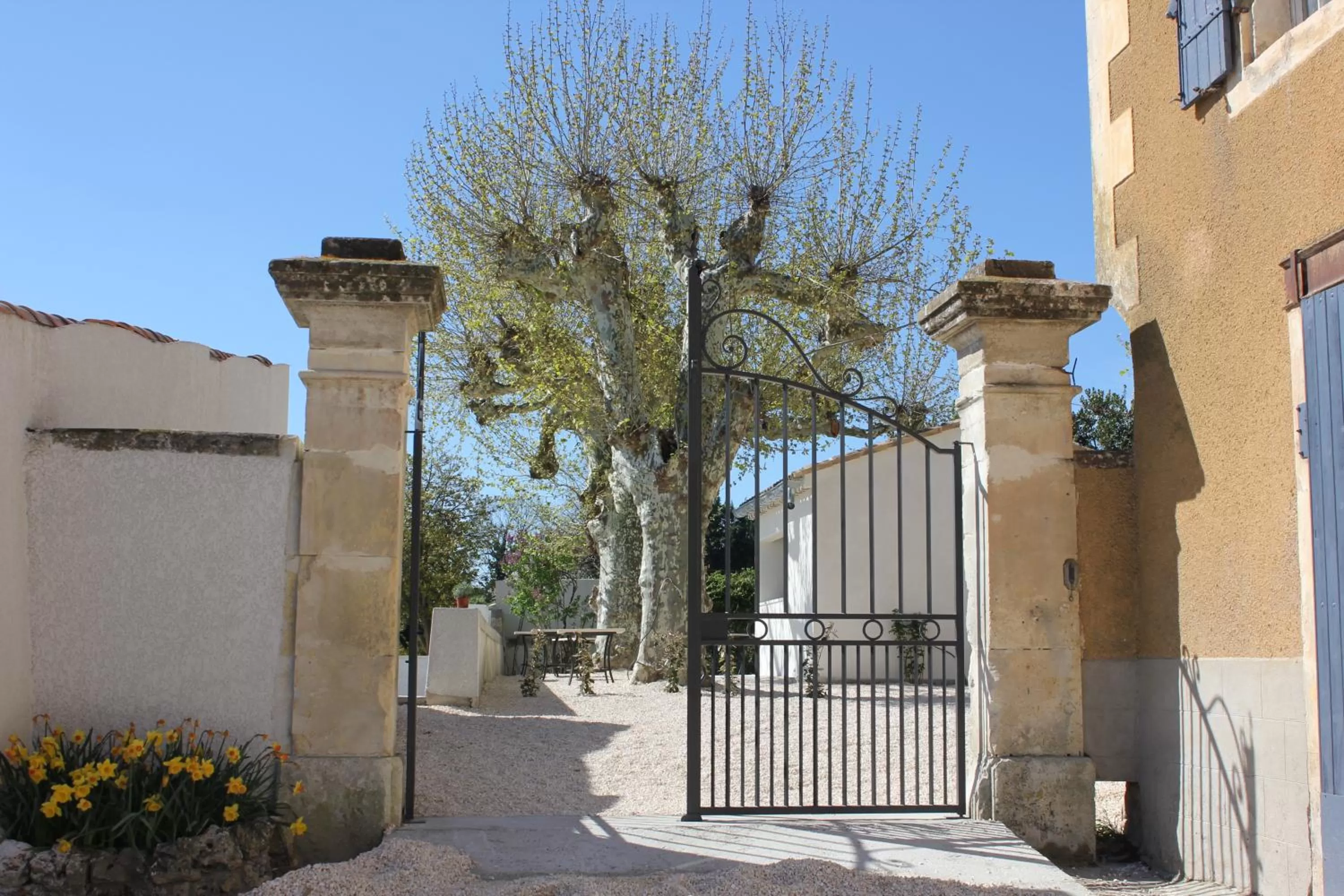 Garden, Property Building in DOMAINE FORVENT