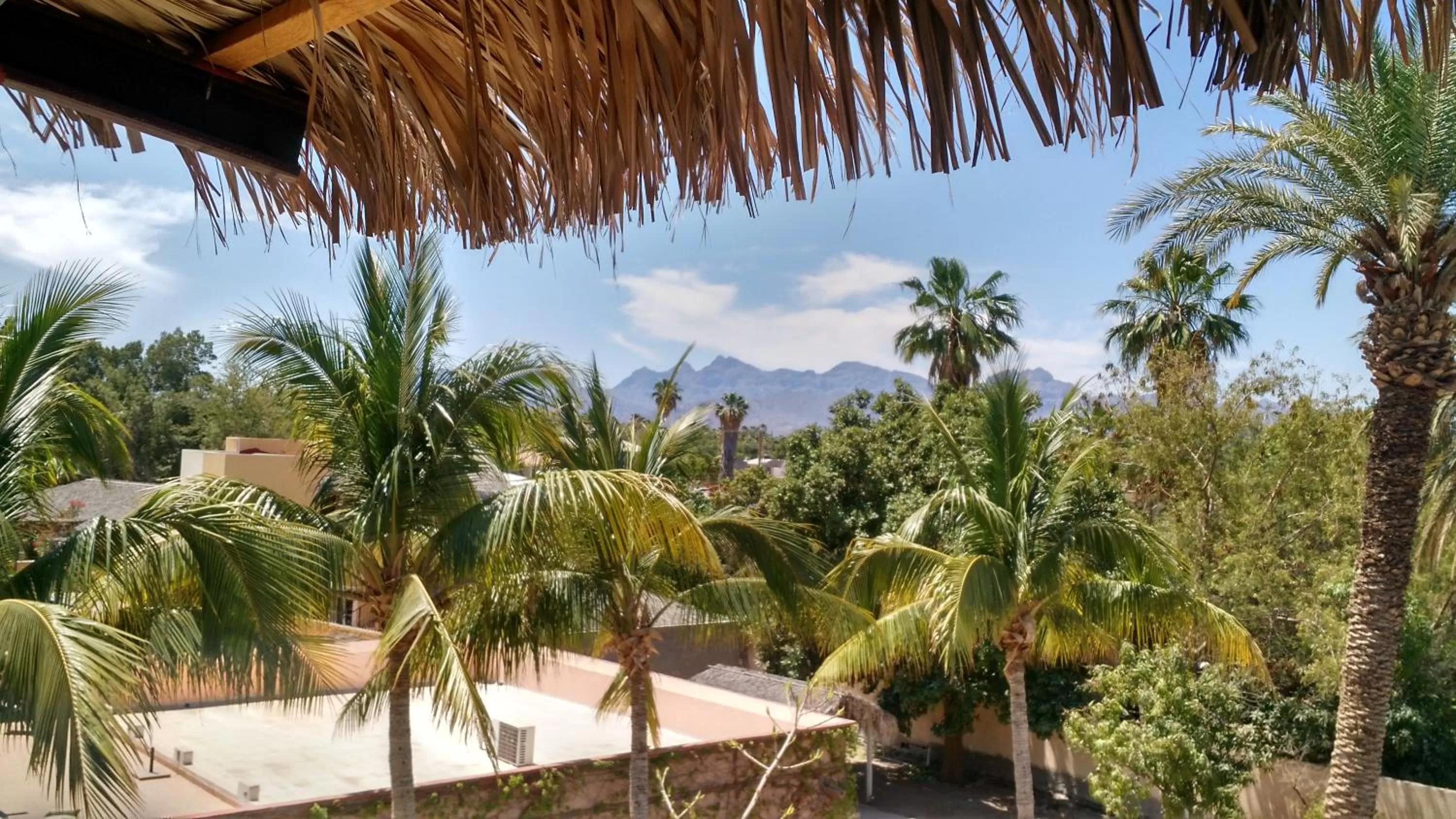 City view in Loreto Playa Boutique Hotel