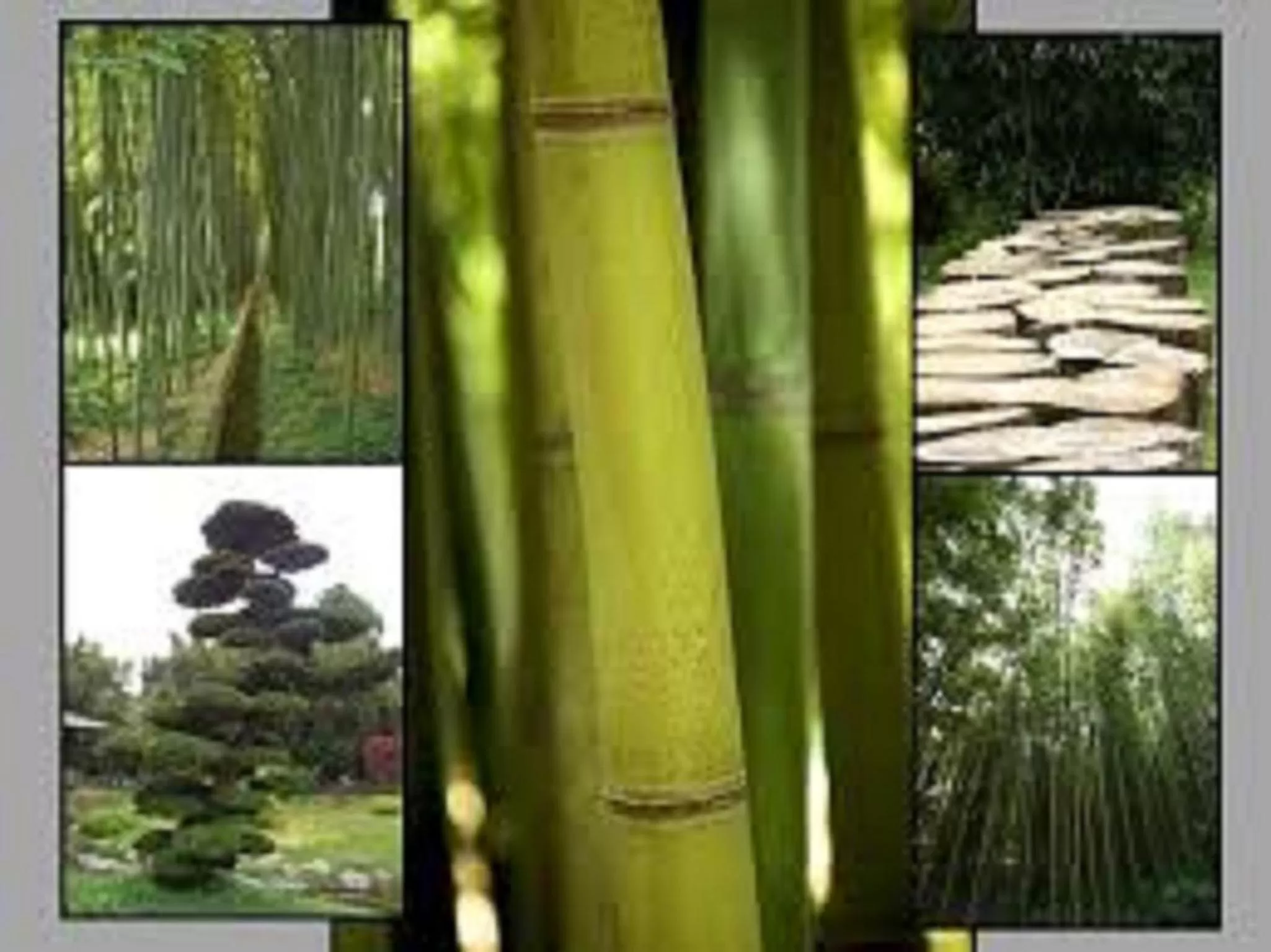 Activities in Premiere Classe Ales - Anduze