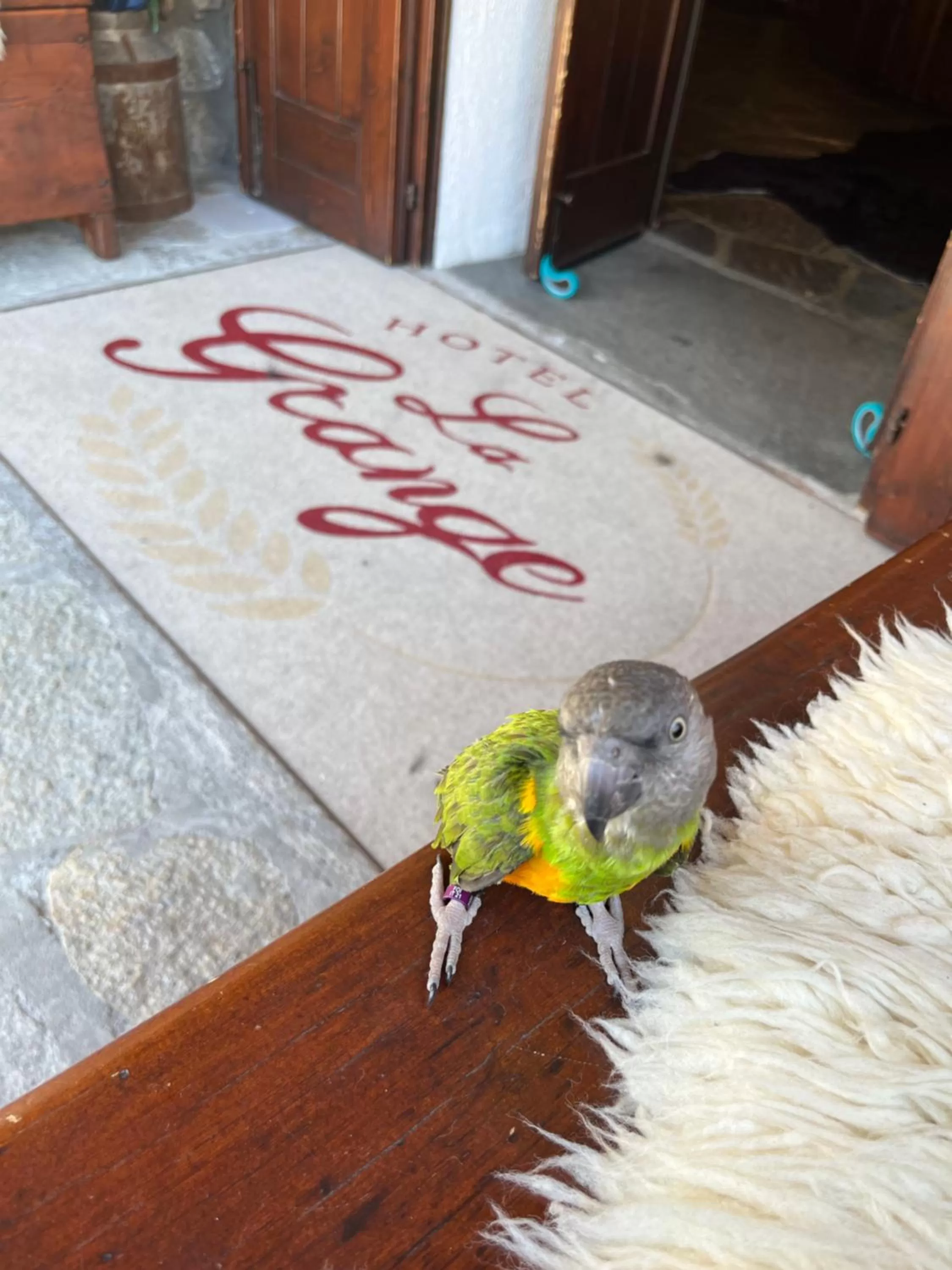 Property building in Hotel La Grange - Animal Chic Hotel