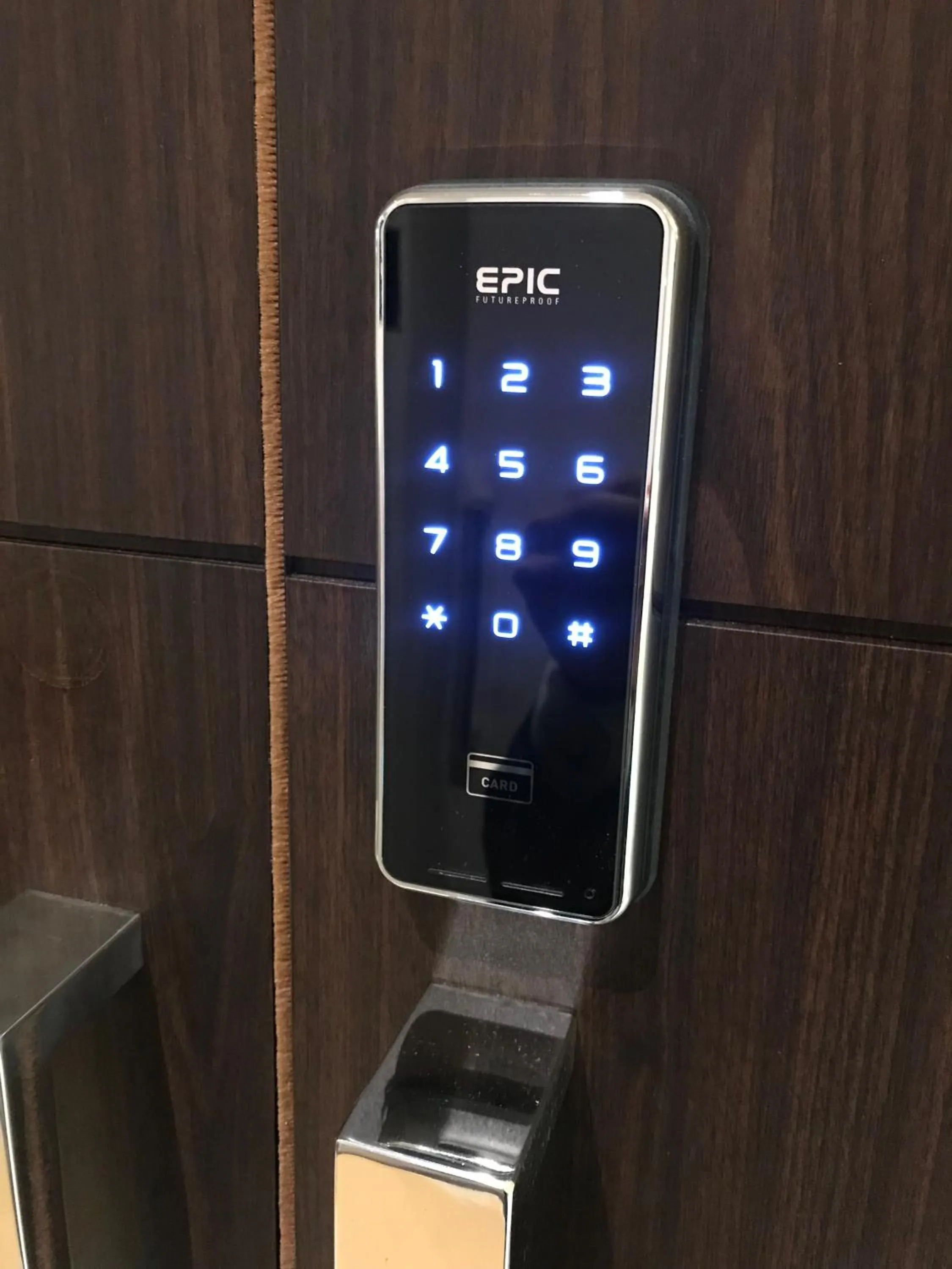 Other in My Hotel Ryugu