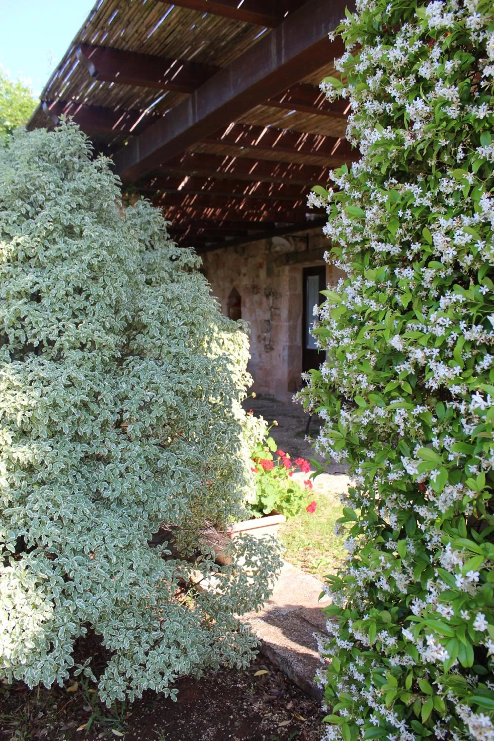 Garden, Property Building in Masseria Tolla