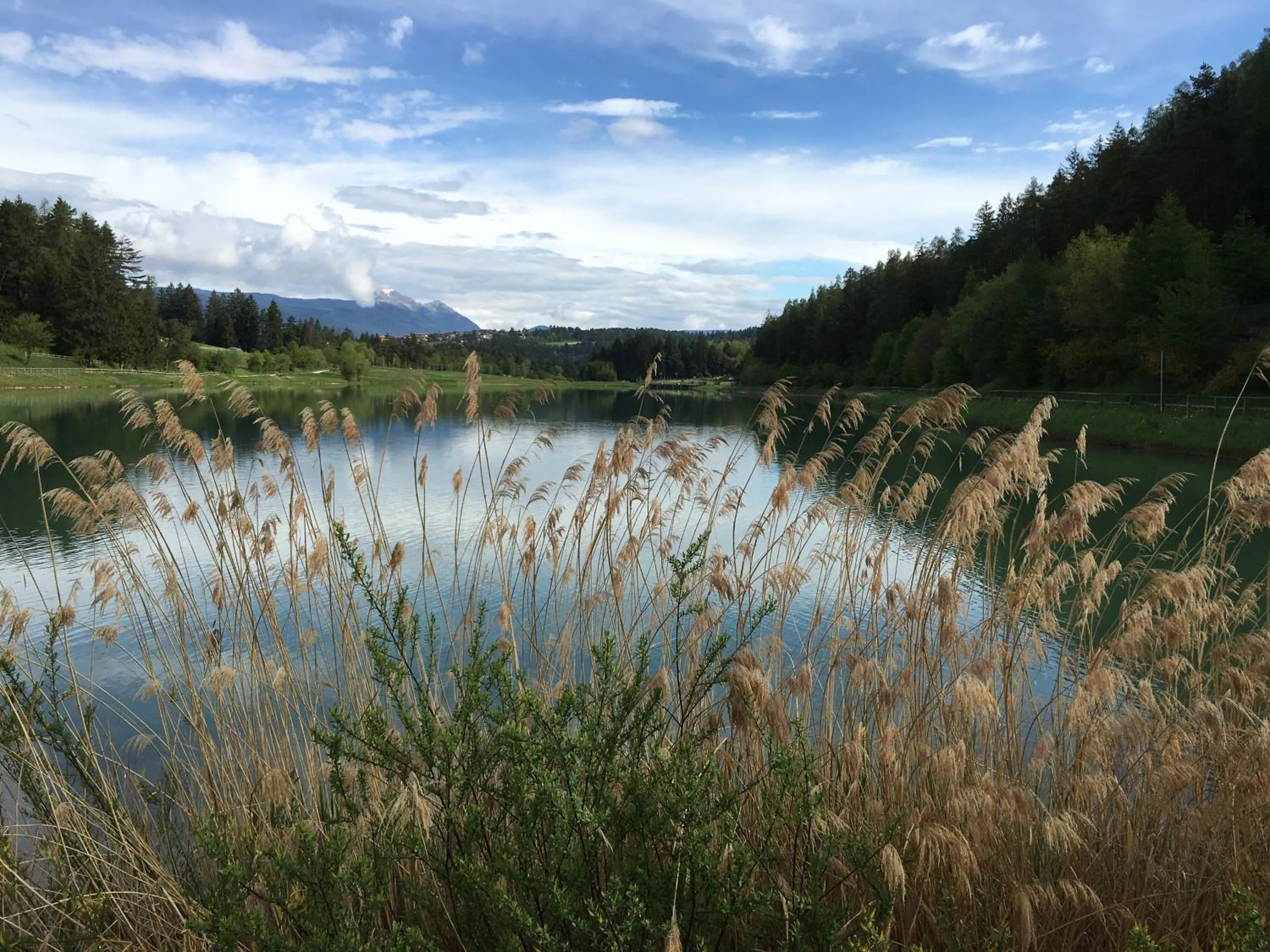 Fishing in Pineta Nature Resort - Wellness & SPA