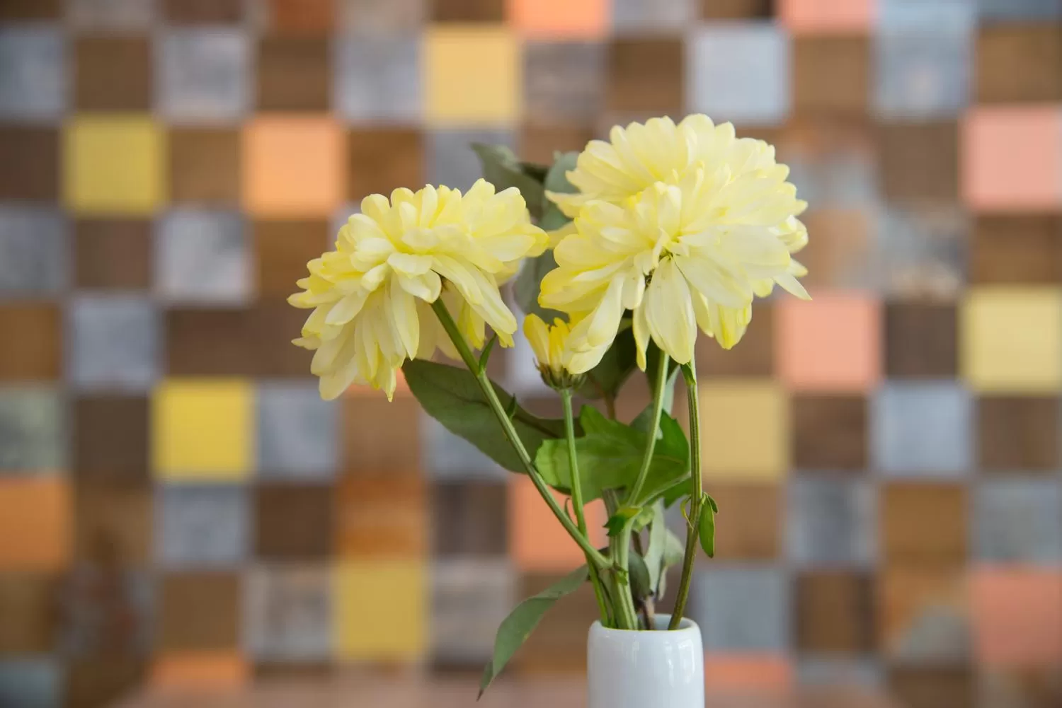 Decorative detail in Hotel PIAZZA