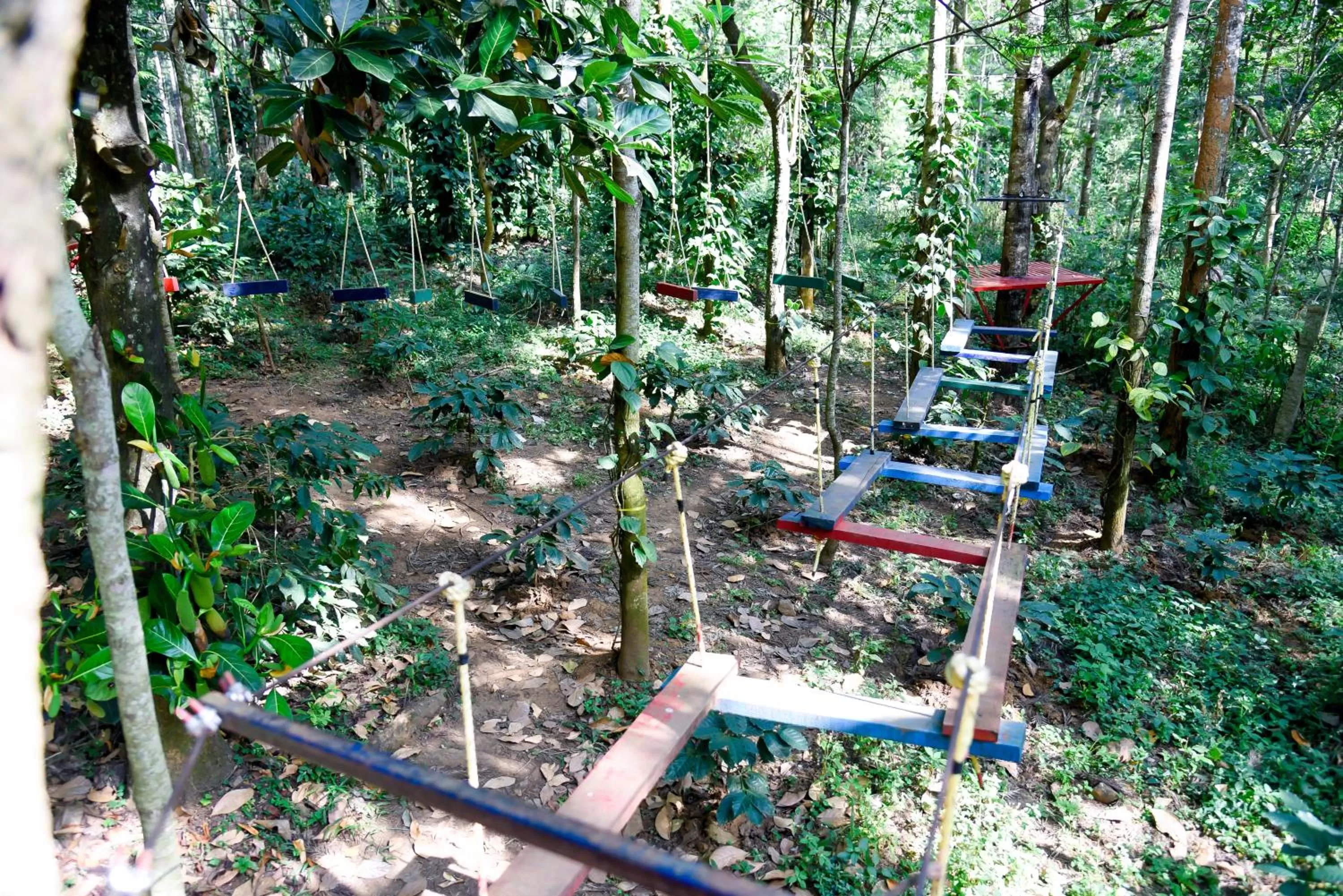 Activities in The Spectrum Resort - Chikmagalur