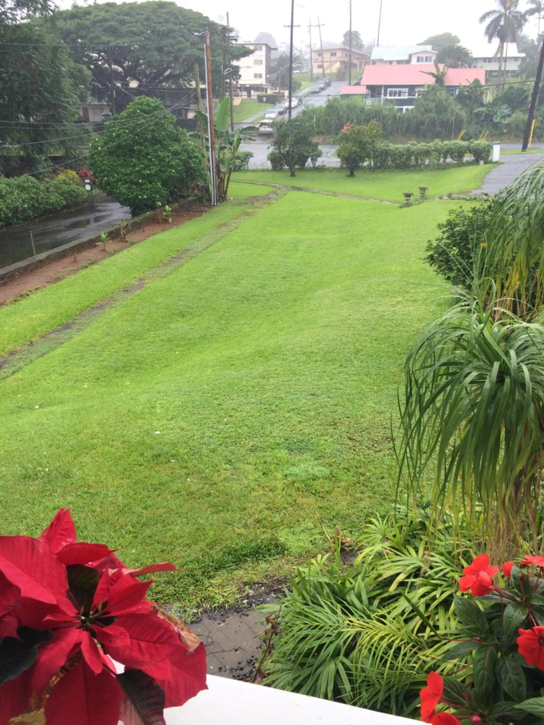 Garden view, Garden in Hilo Bay Oceanfront Bed and Breakfast
