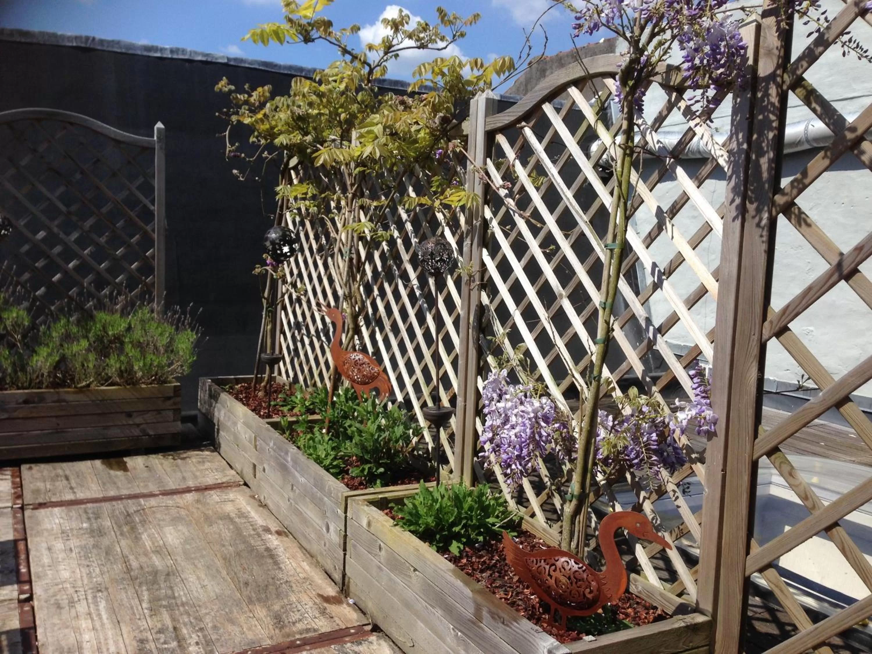 Balcony/Terrace in B&B Family@home66