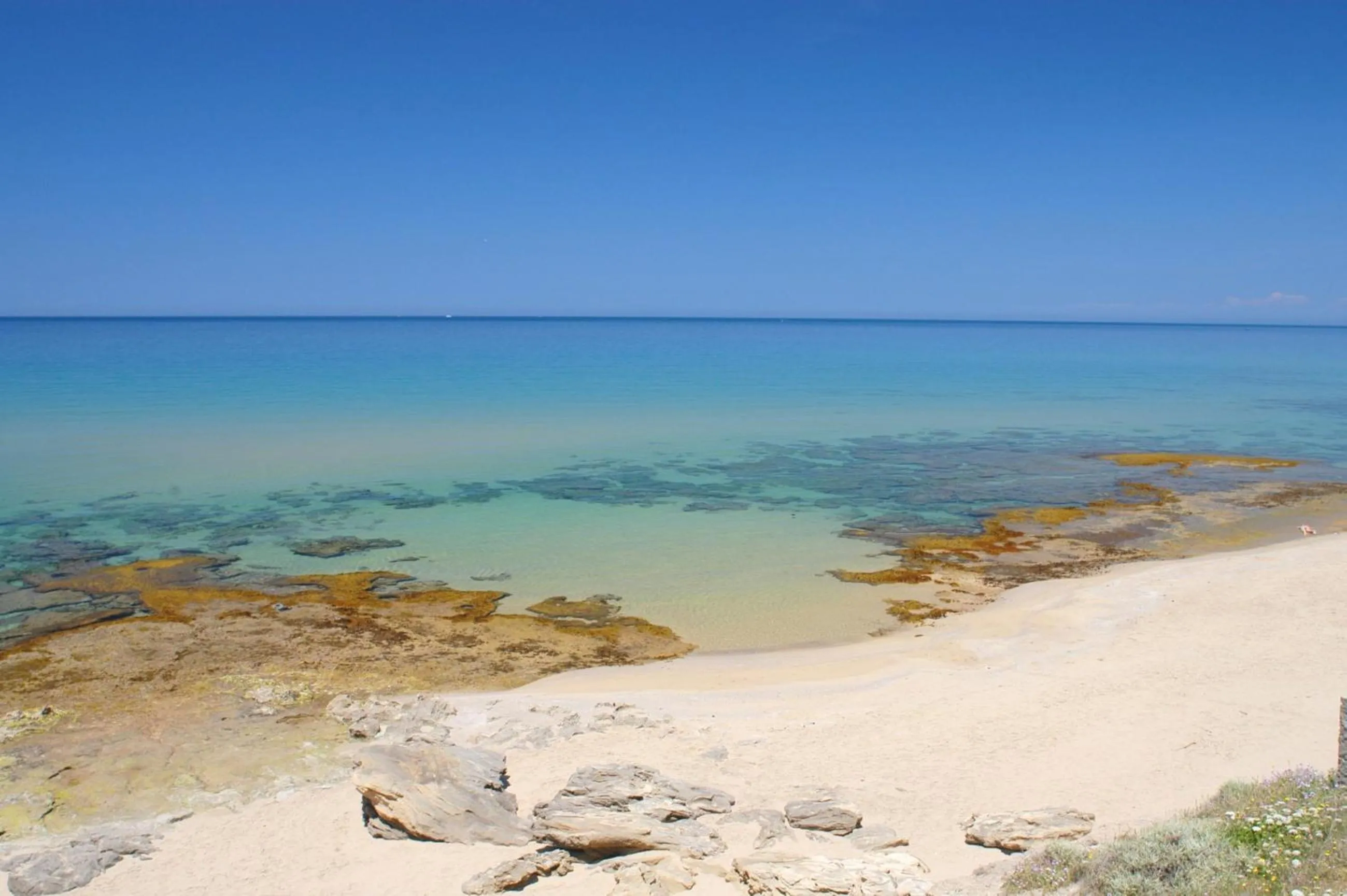 Beach in Hotel Rosa dei Venti
