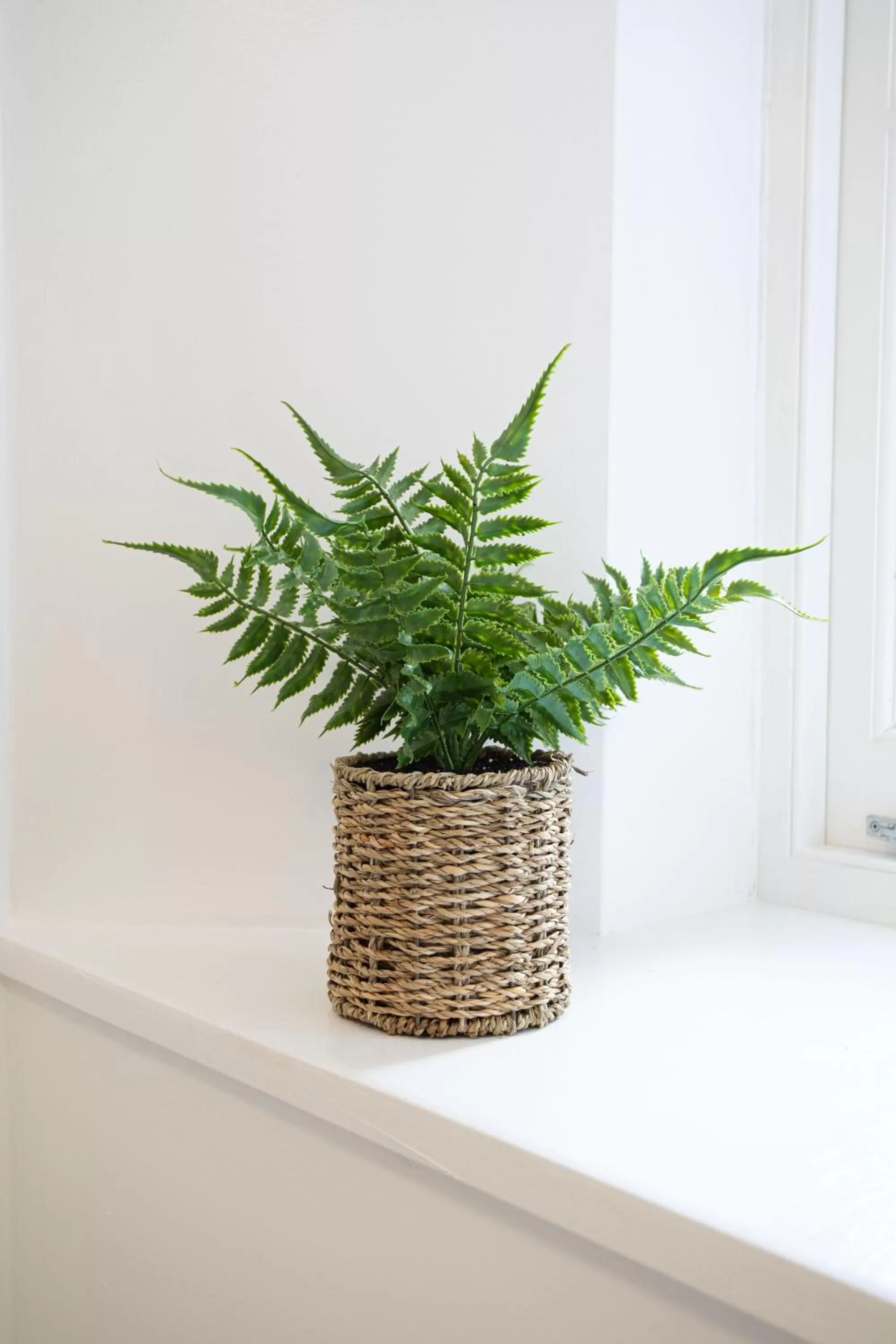 Bedroom in Park View R & R - Adult Only - Self-Catering - Free Parking - EV Point