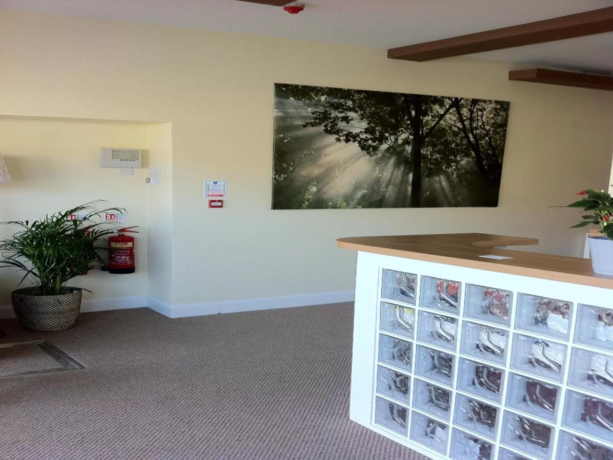 Lobby or reception in Lyall Apartment Hotel