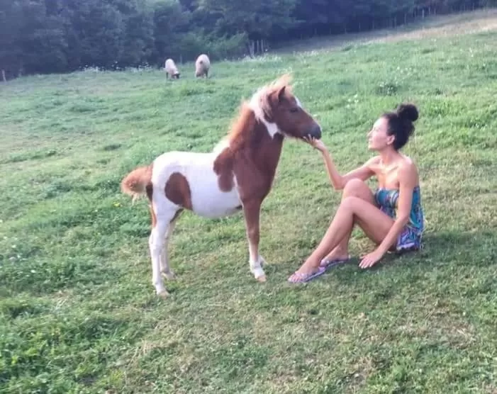 Day in Pensiunea SilvAnka