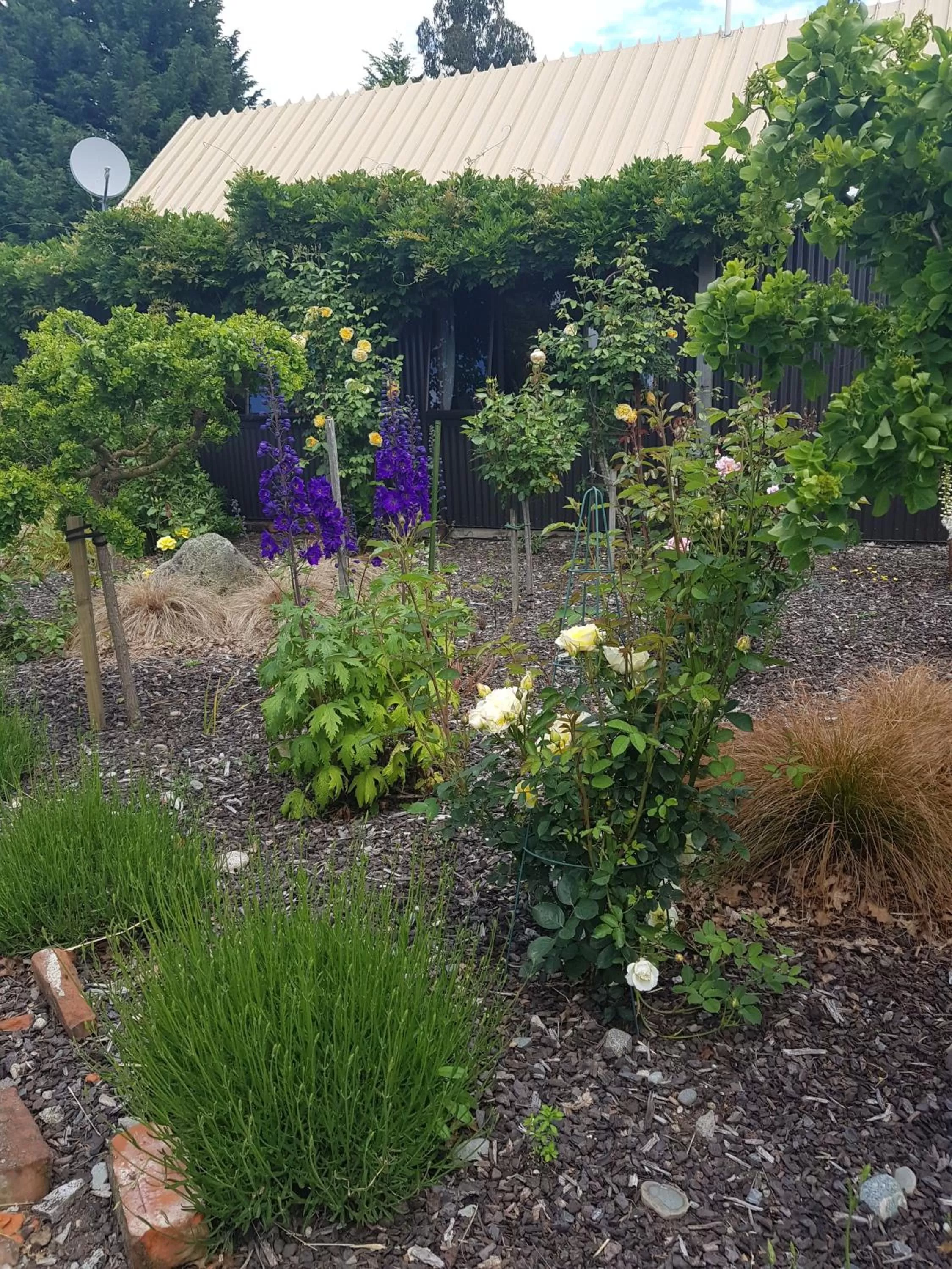 View (from property/room) in Alpine Rock B&B