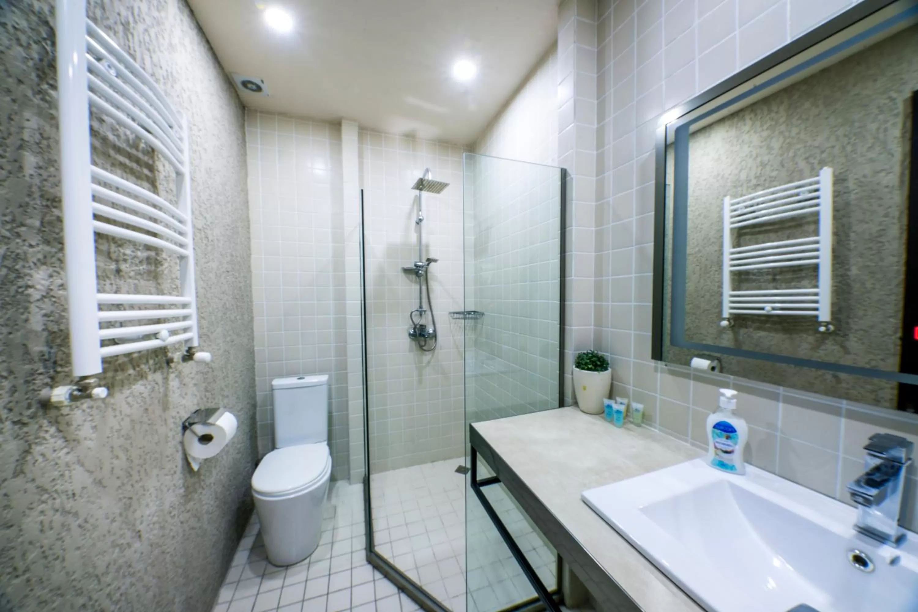 Shower in Sani Apart Hotel