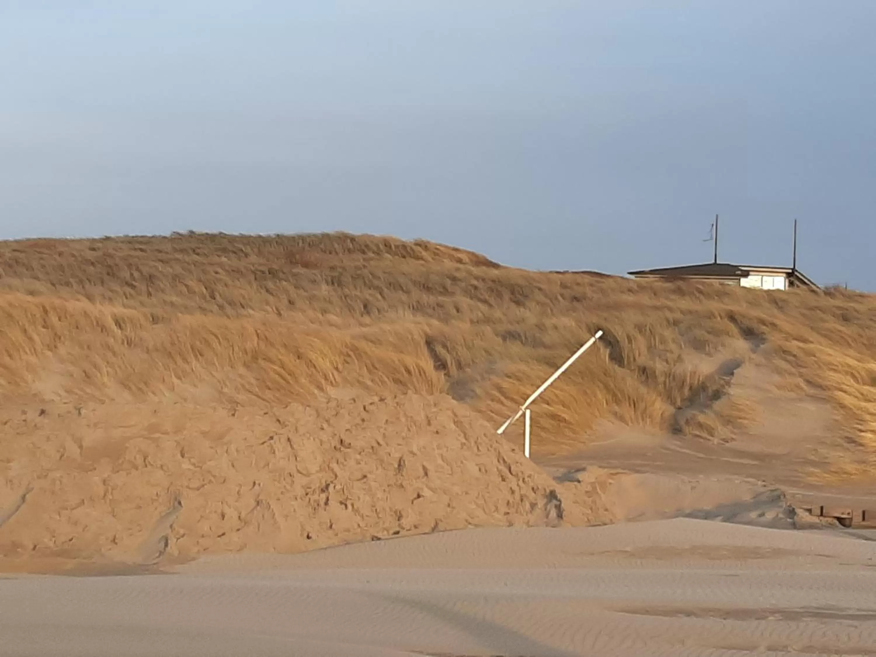 Day in Mi BnB Amsterdam