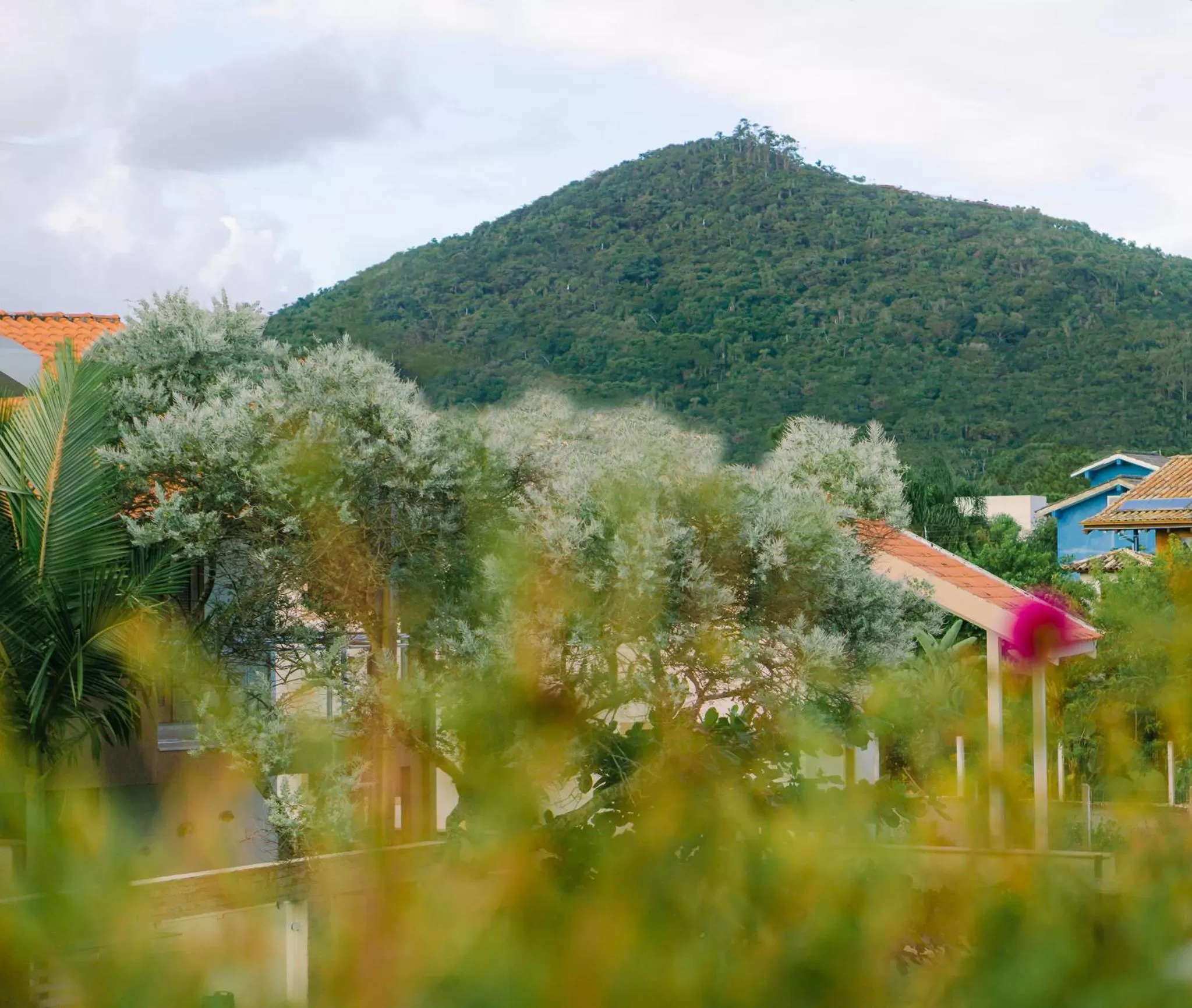 Natural landscape in Pousada Chaday