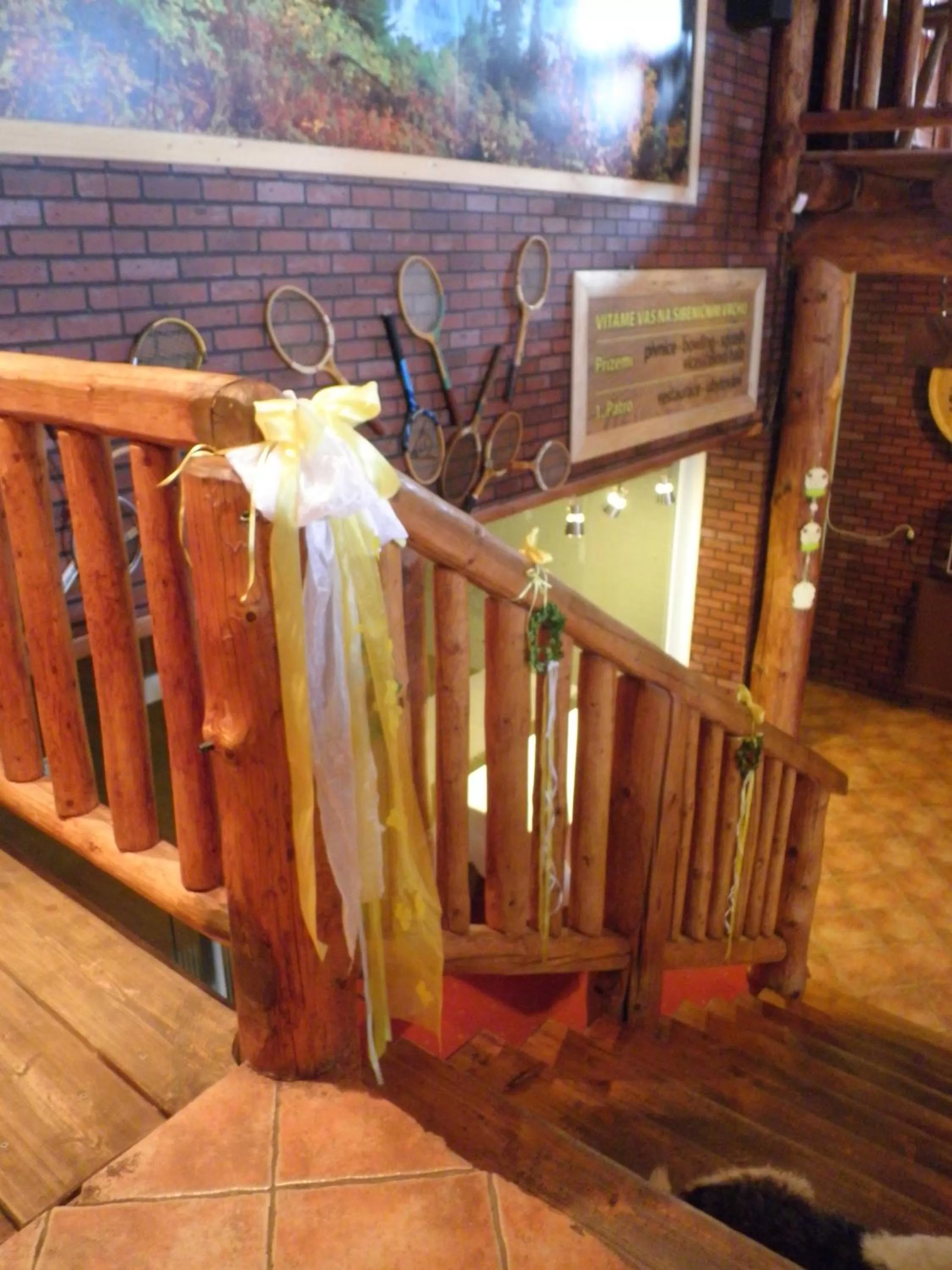 Area and facilities in Sport-hotel Šibeniční vrch