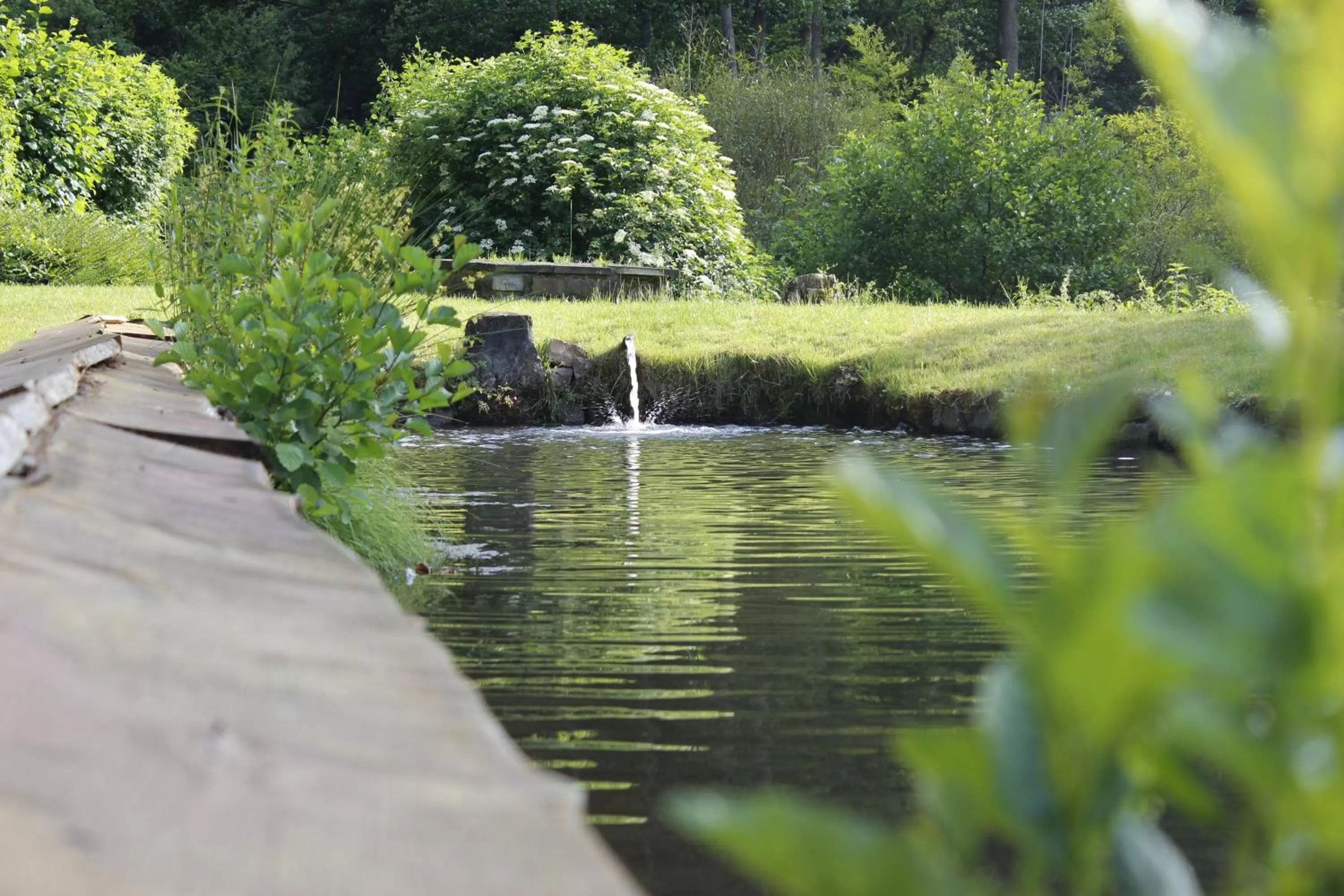Property building in Hotel Ostermann