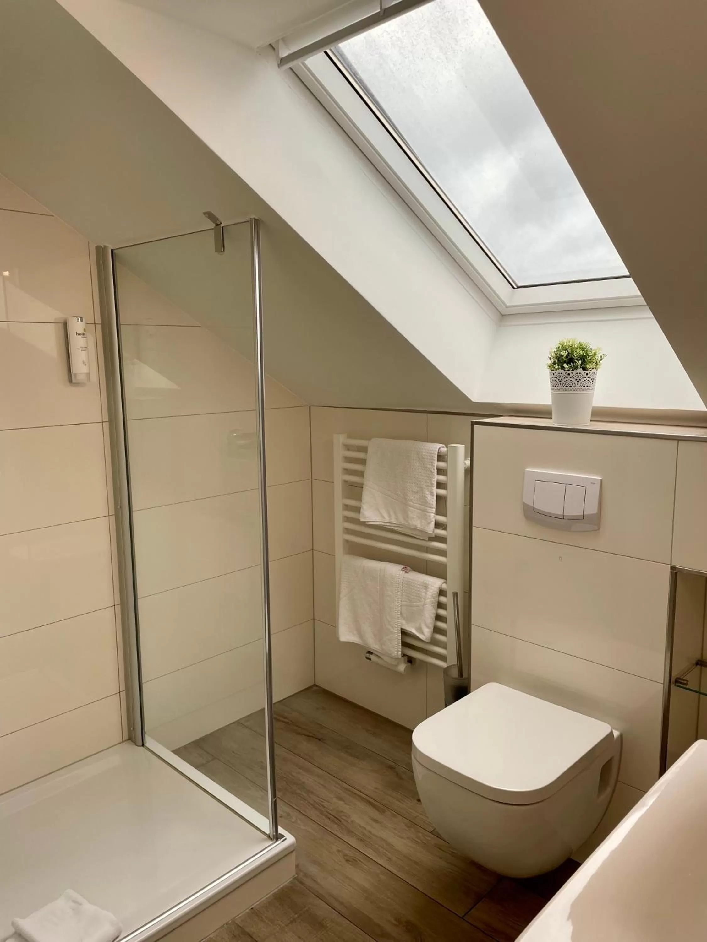 Shower in Gasthof Scharfe Kurve