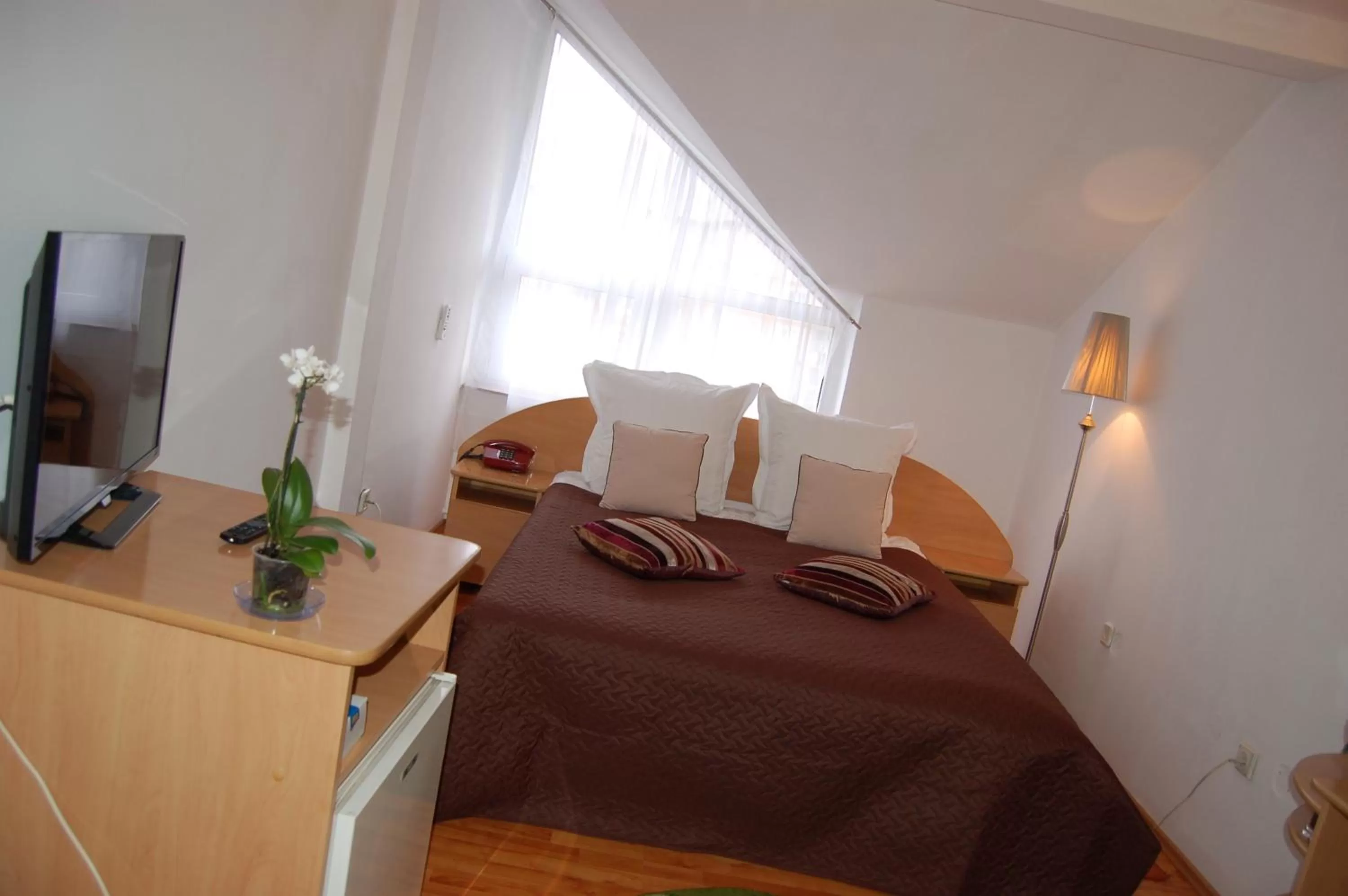 Bed in Motel Maestro