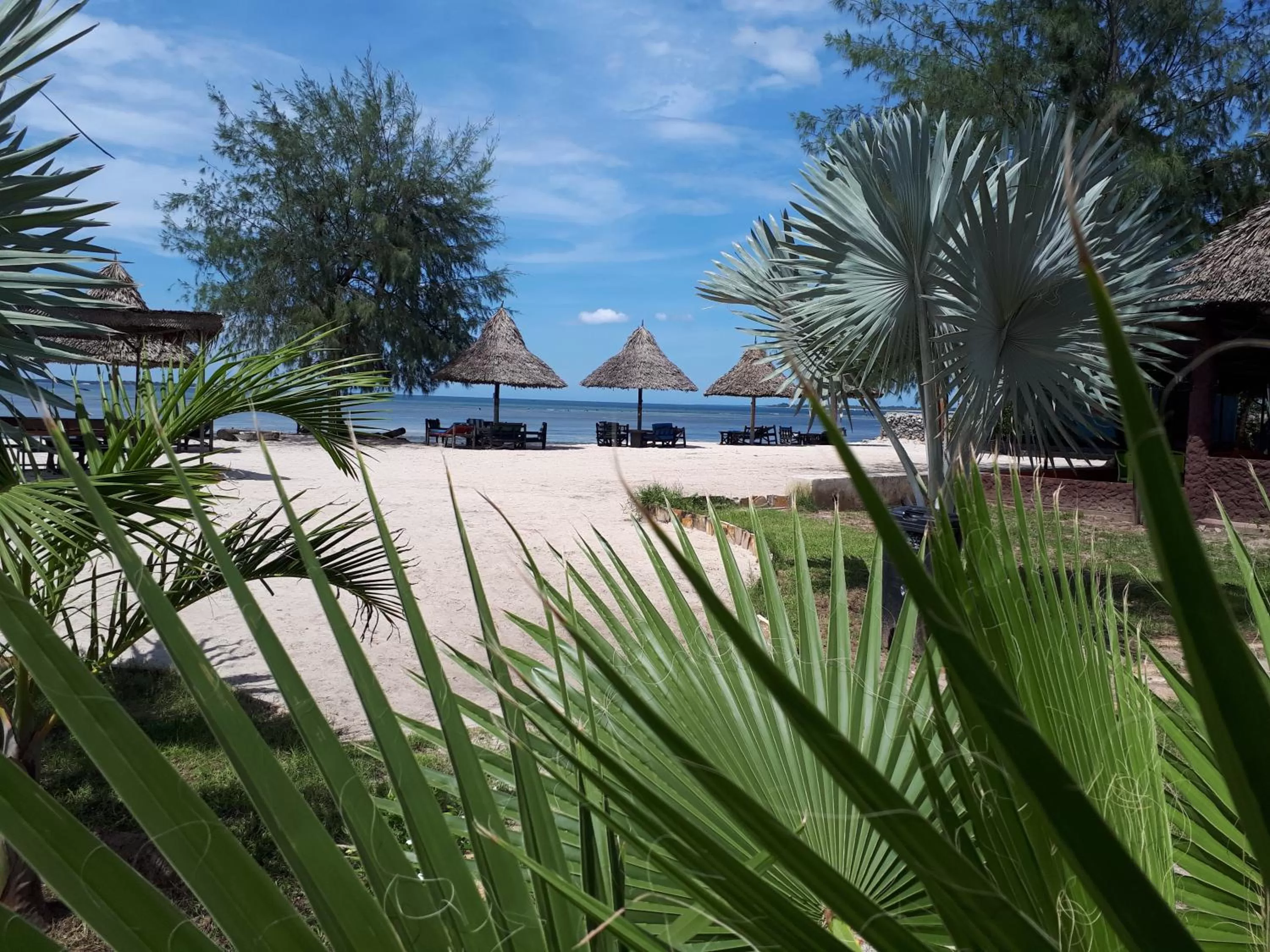 Kijiji Beach Resort