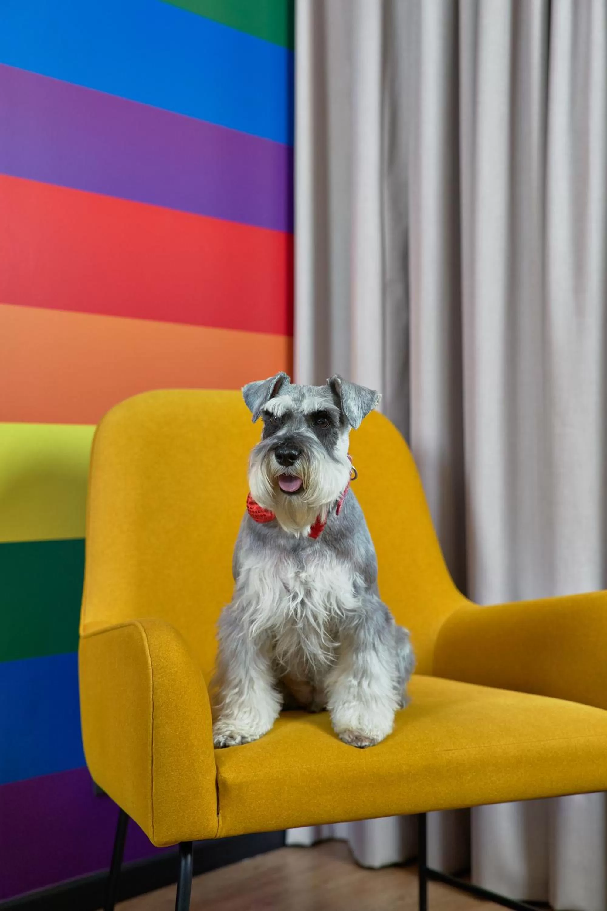 Property building in Pullman Santiago Vitacura