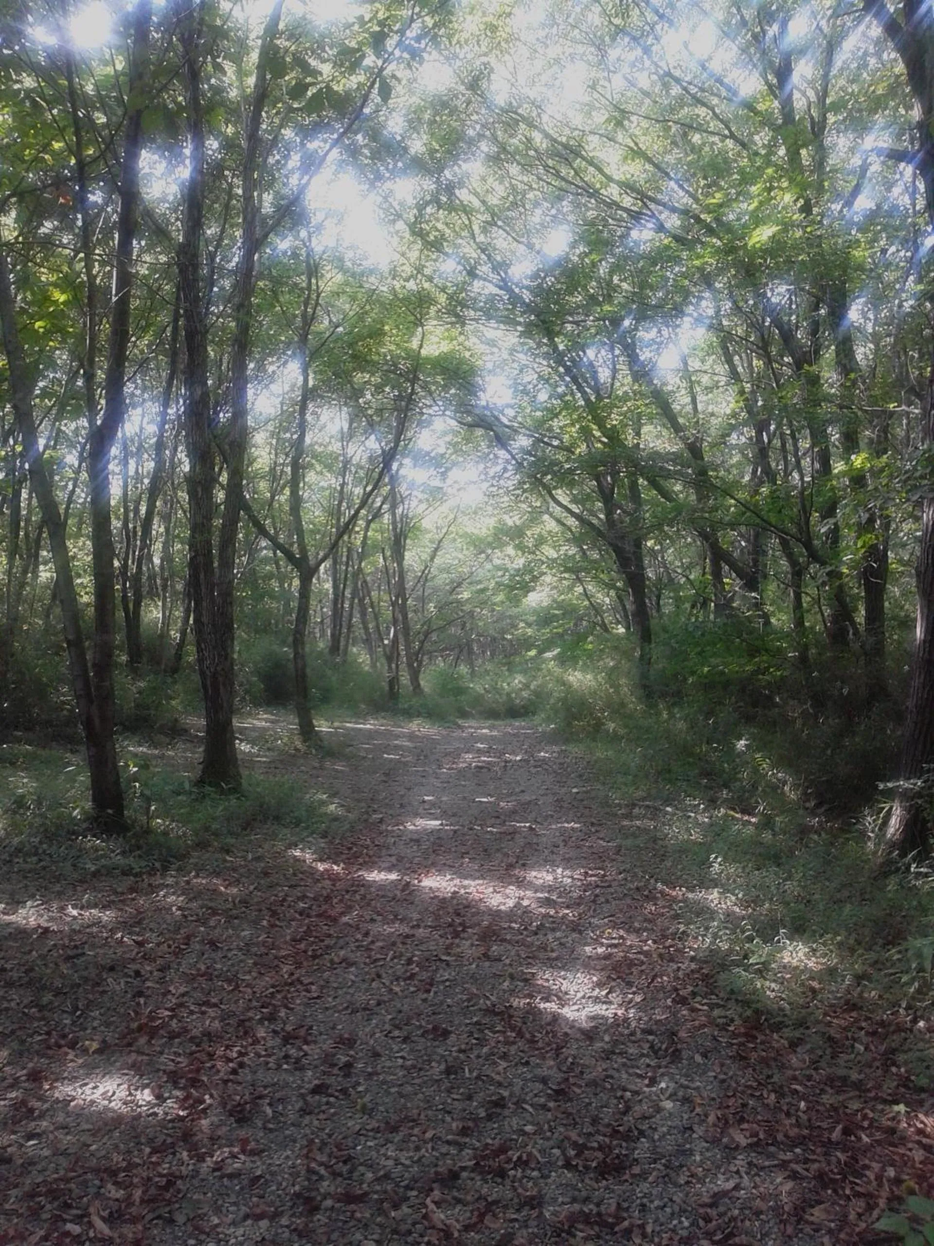 Area and facilities in Hotel Floracion Nasu