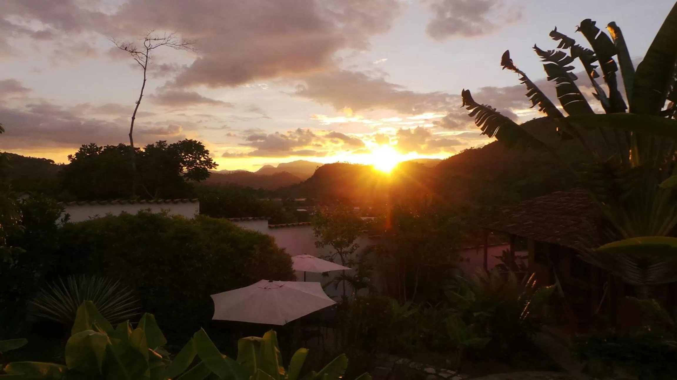 Garden, Sunrise/Sunset in La Casa de Cafe Bed and Breakfast