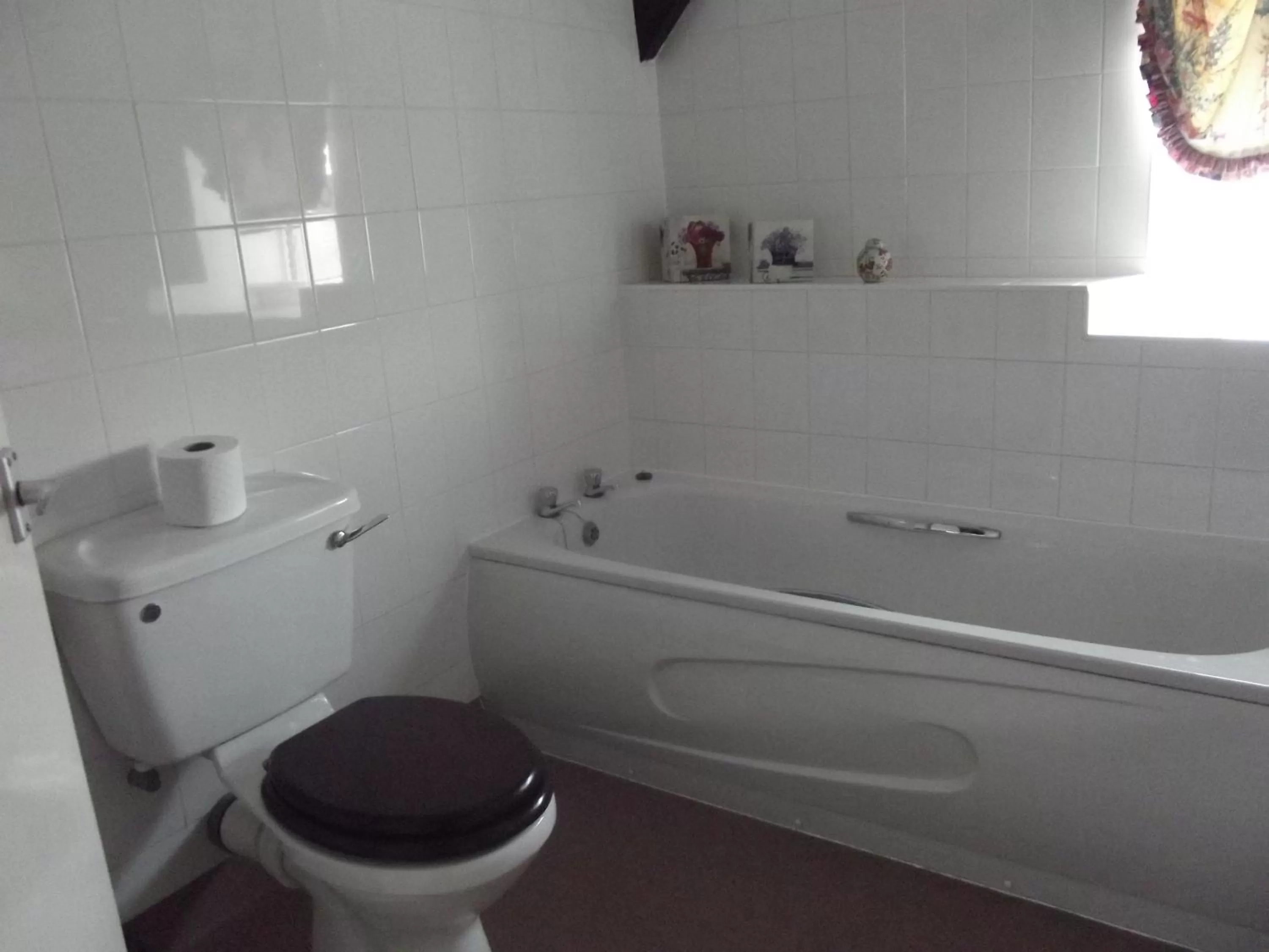 Bathroom in Plas Coch Hotel Ltd