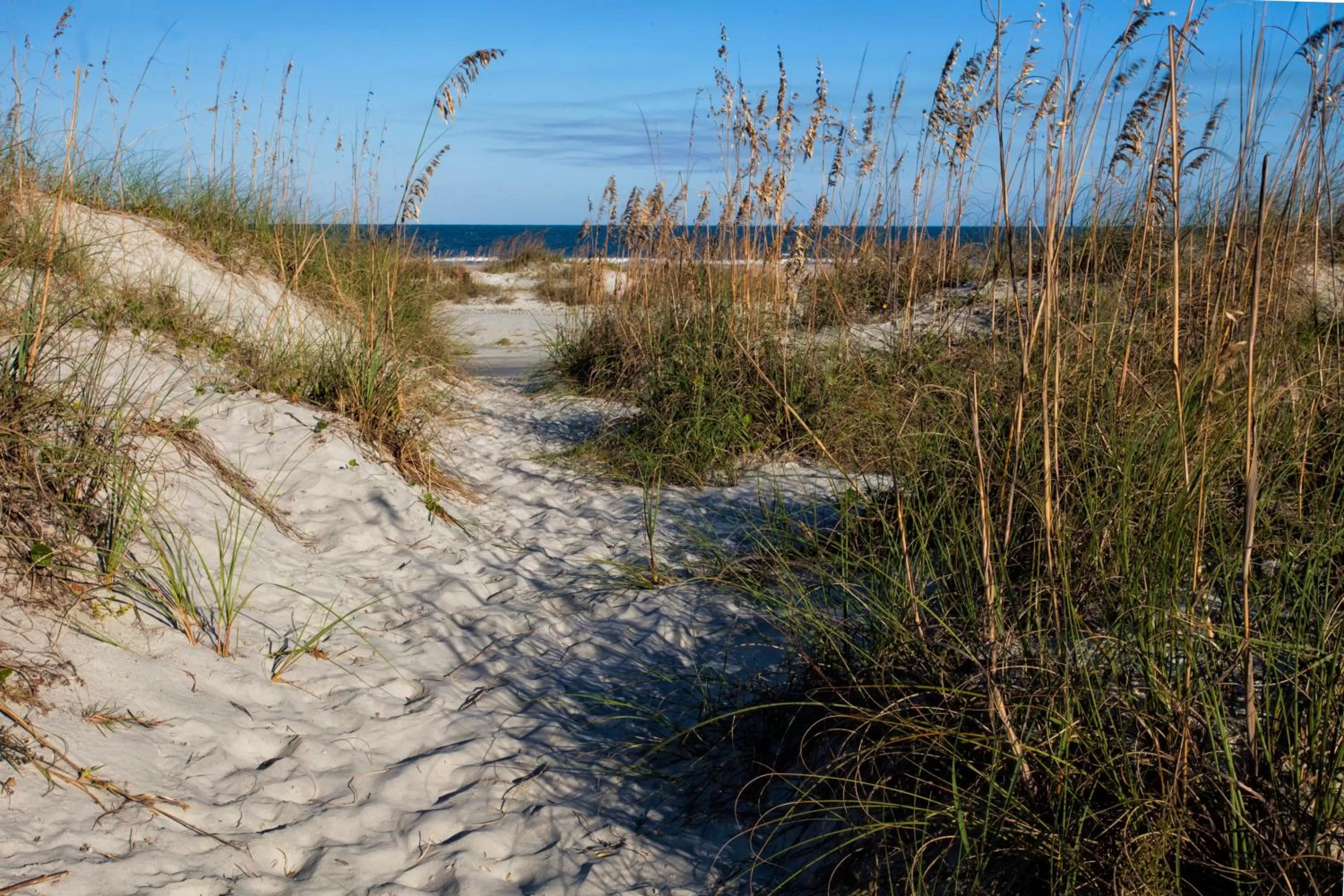 St. Francis Inn - Saint Augustine