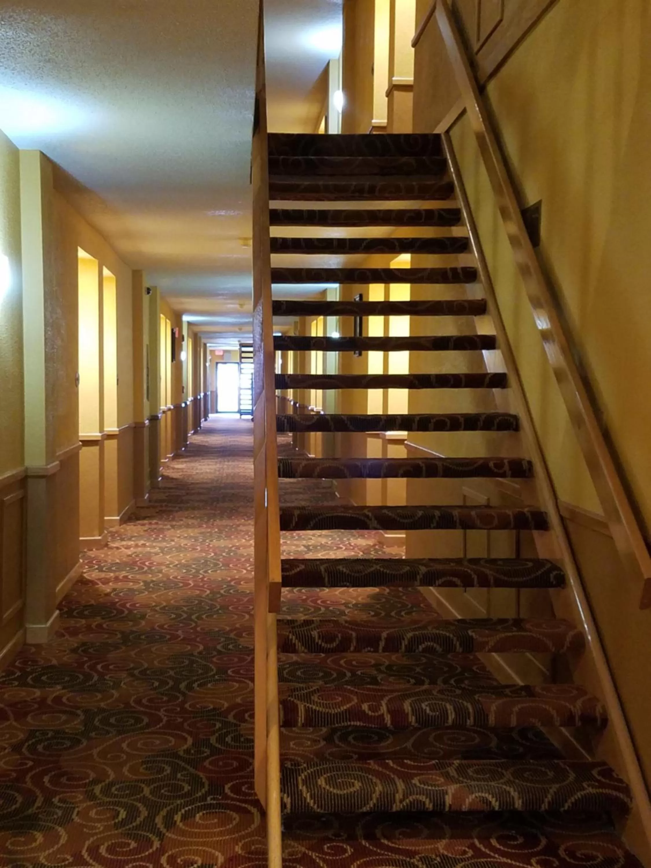 Area and facilities in Best Western Martinsville Inn