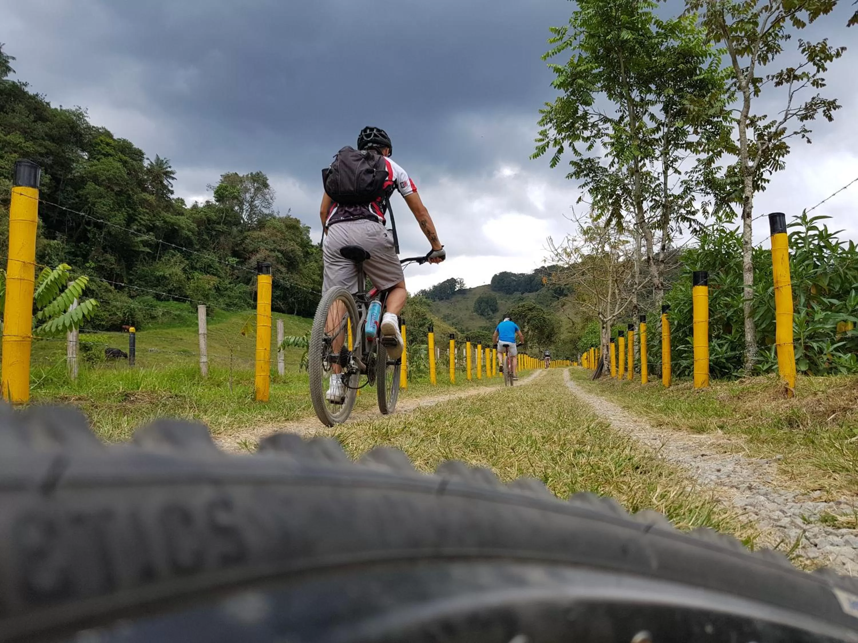 Activities in Beta Hotel