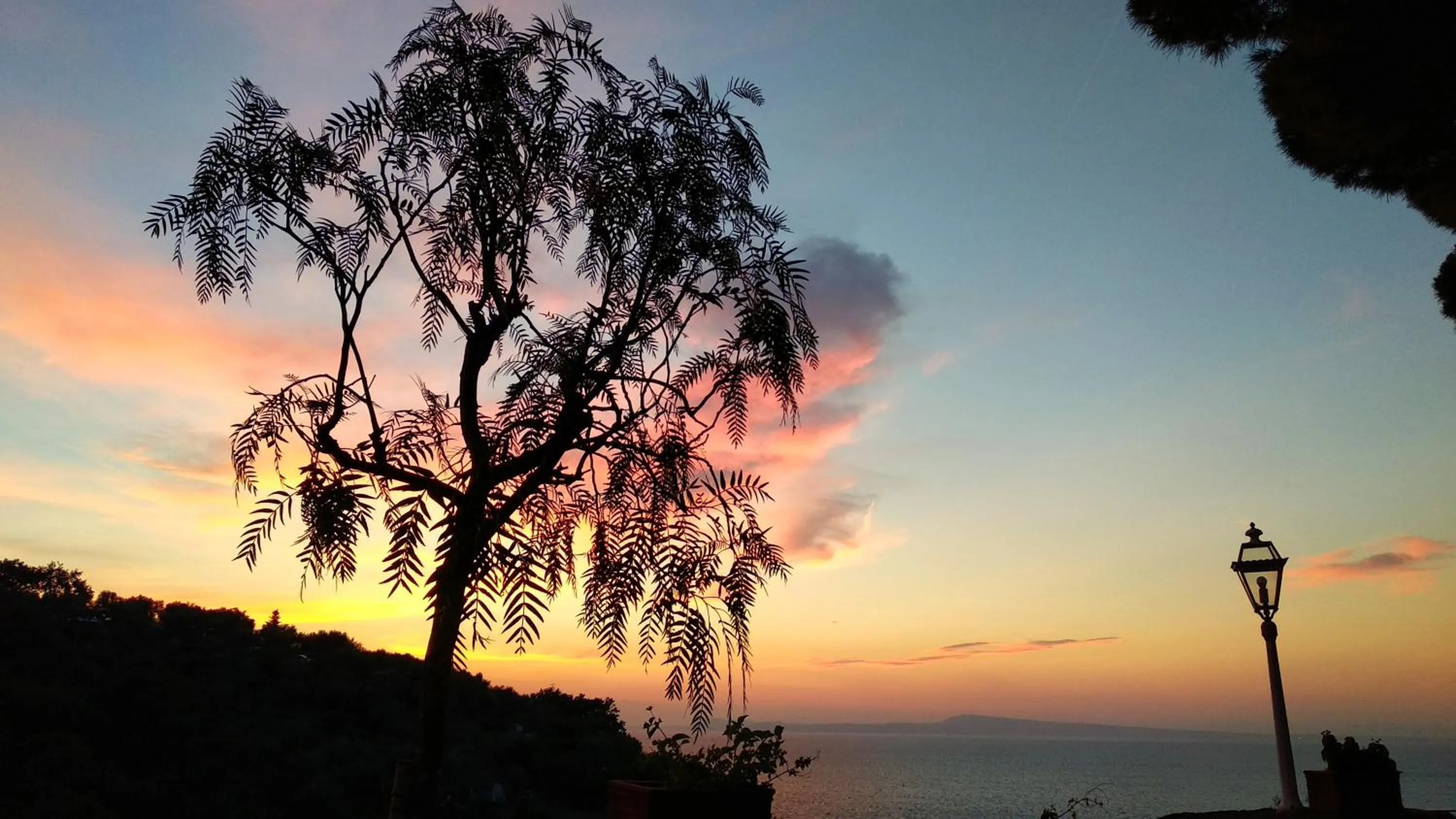 Natural landscape in Hotel Desiree