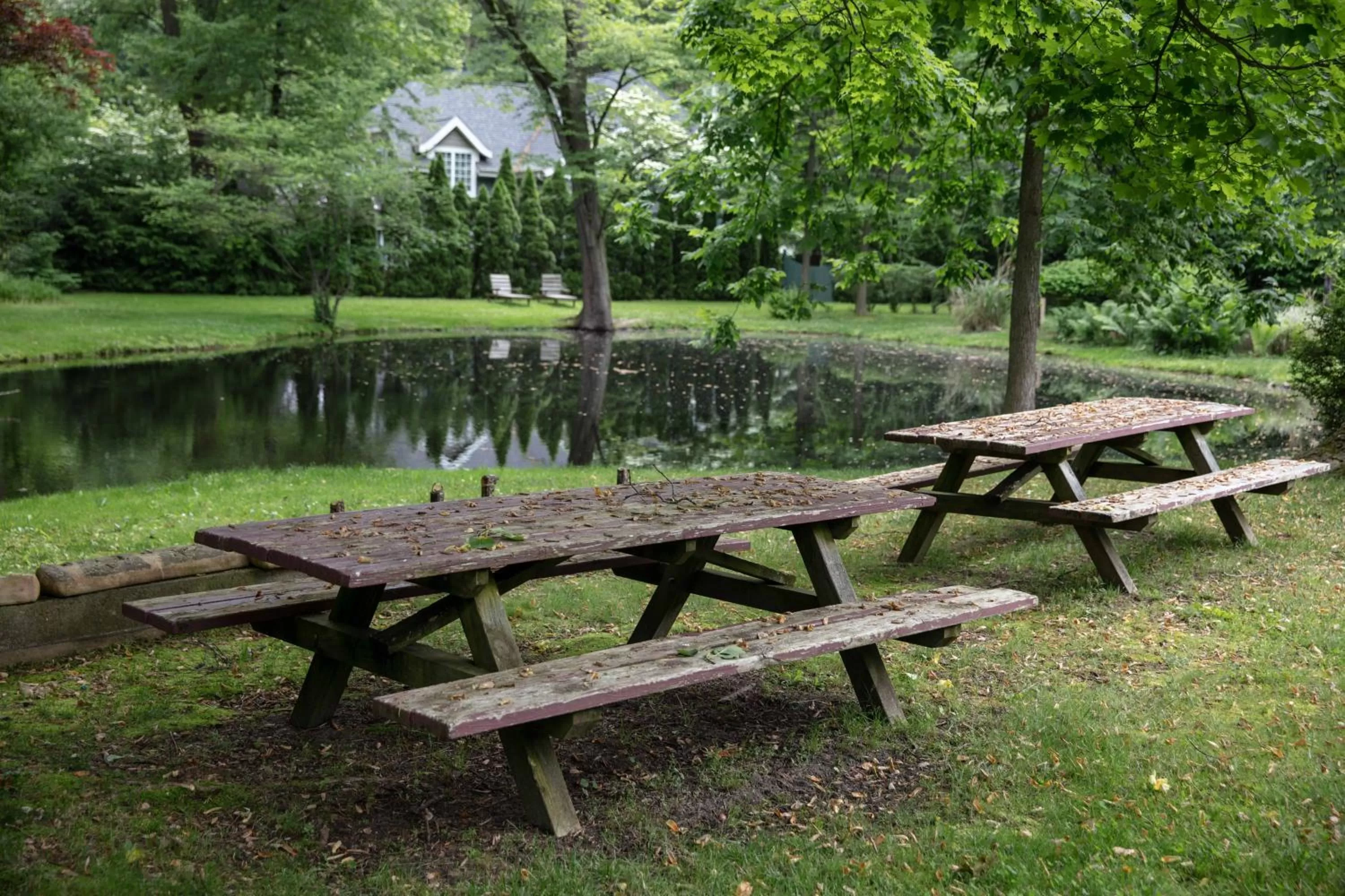 Property building, Garden in Lakeside Inn