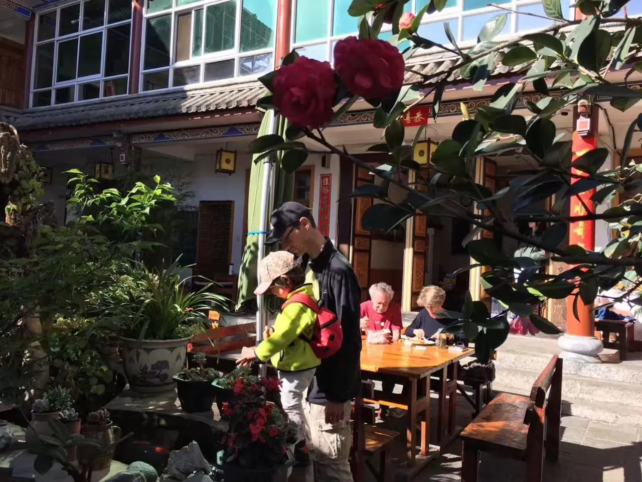 Food, Restaurant/Places to Eat in The Lily Pad Inn