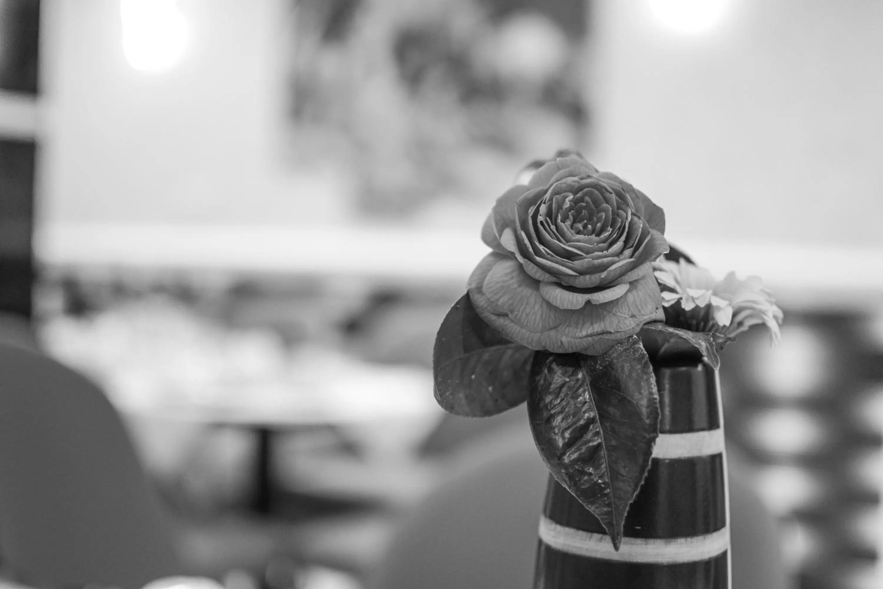 Pembridge Palace Hotel