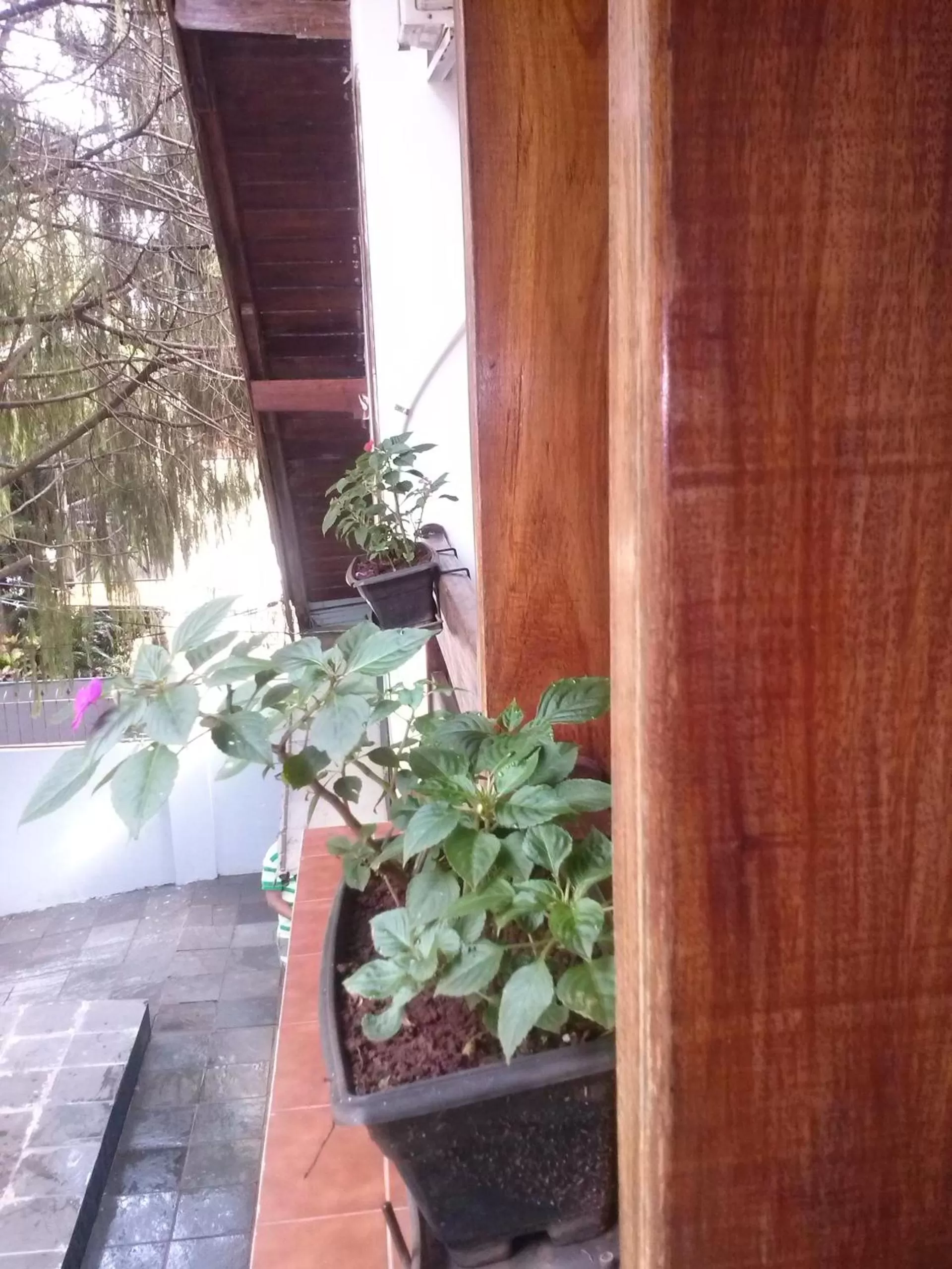 Decorative detail in Petit Hotel Caraguata