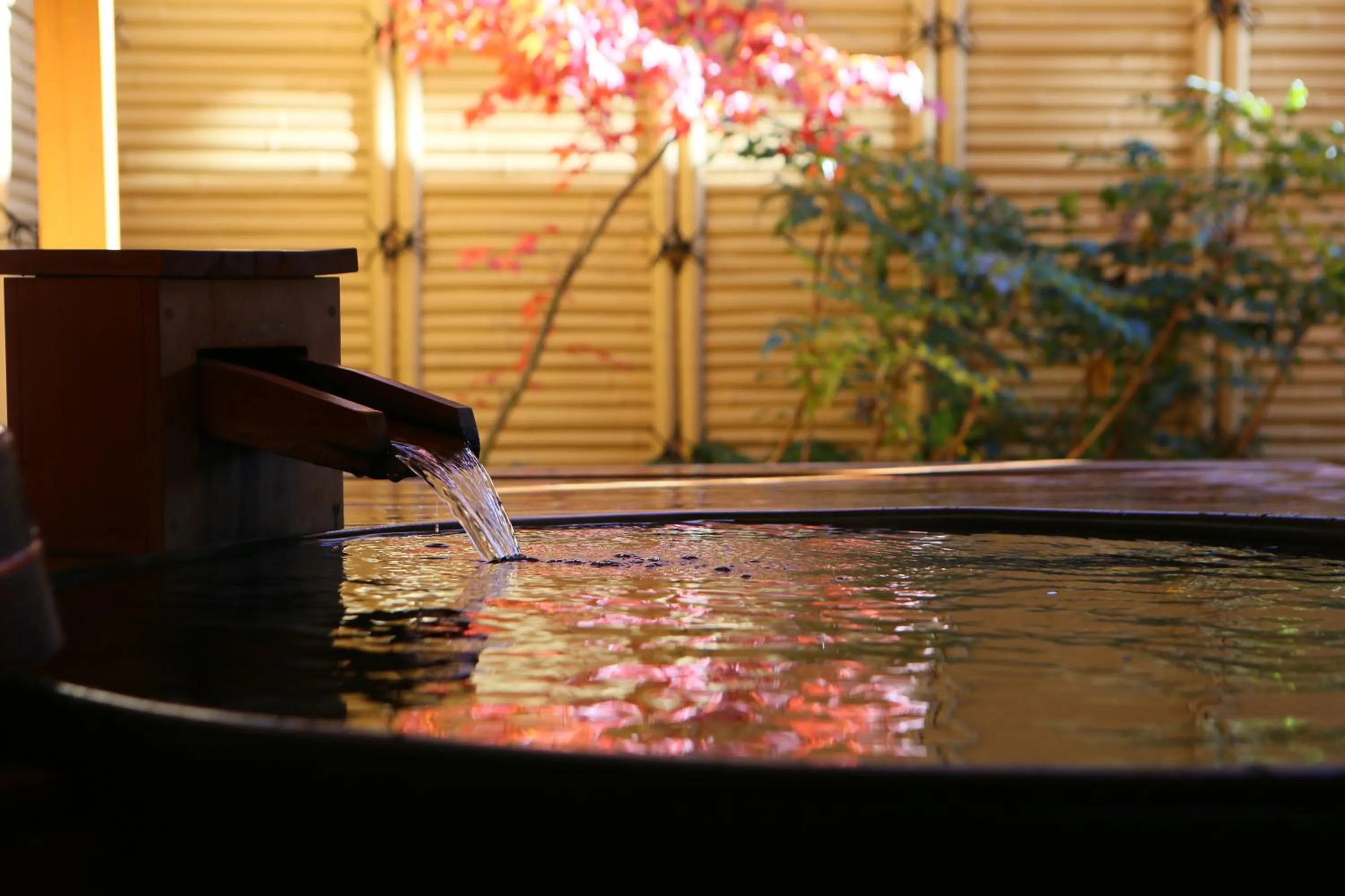 Hot Spring Bath in Hotel Tamanoyu