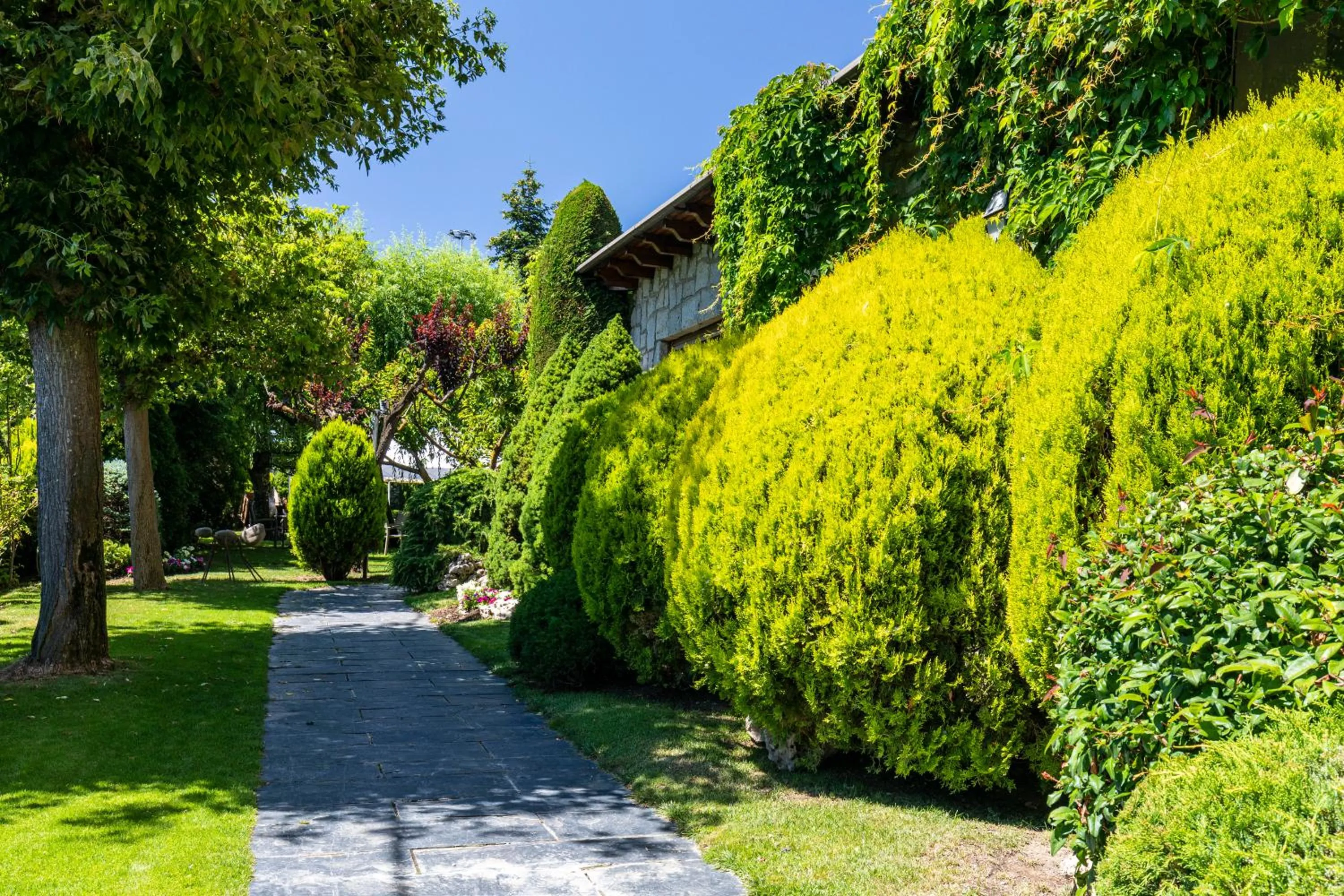 Off site in Hotel del Prado