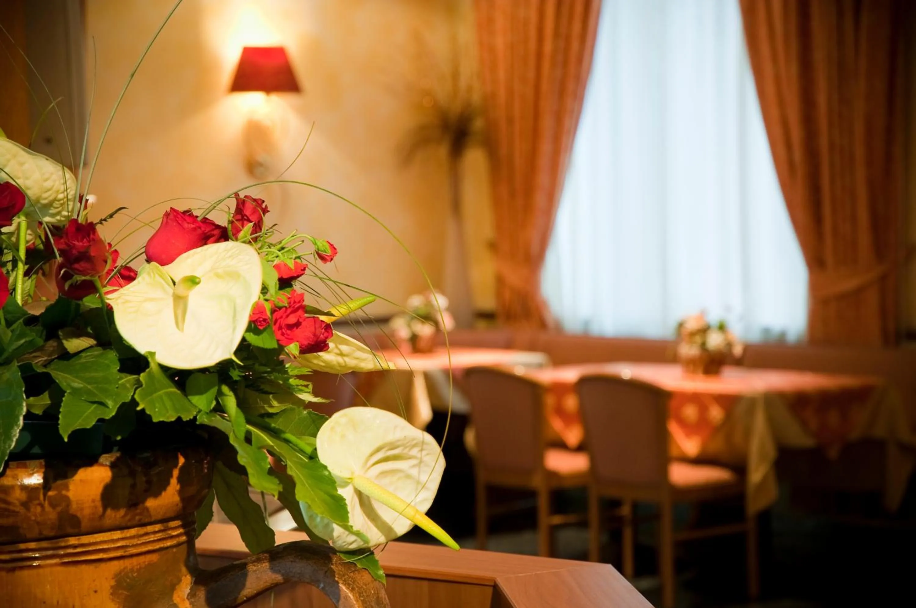 Lounge or bar in Hotel La Pace - Experience