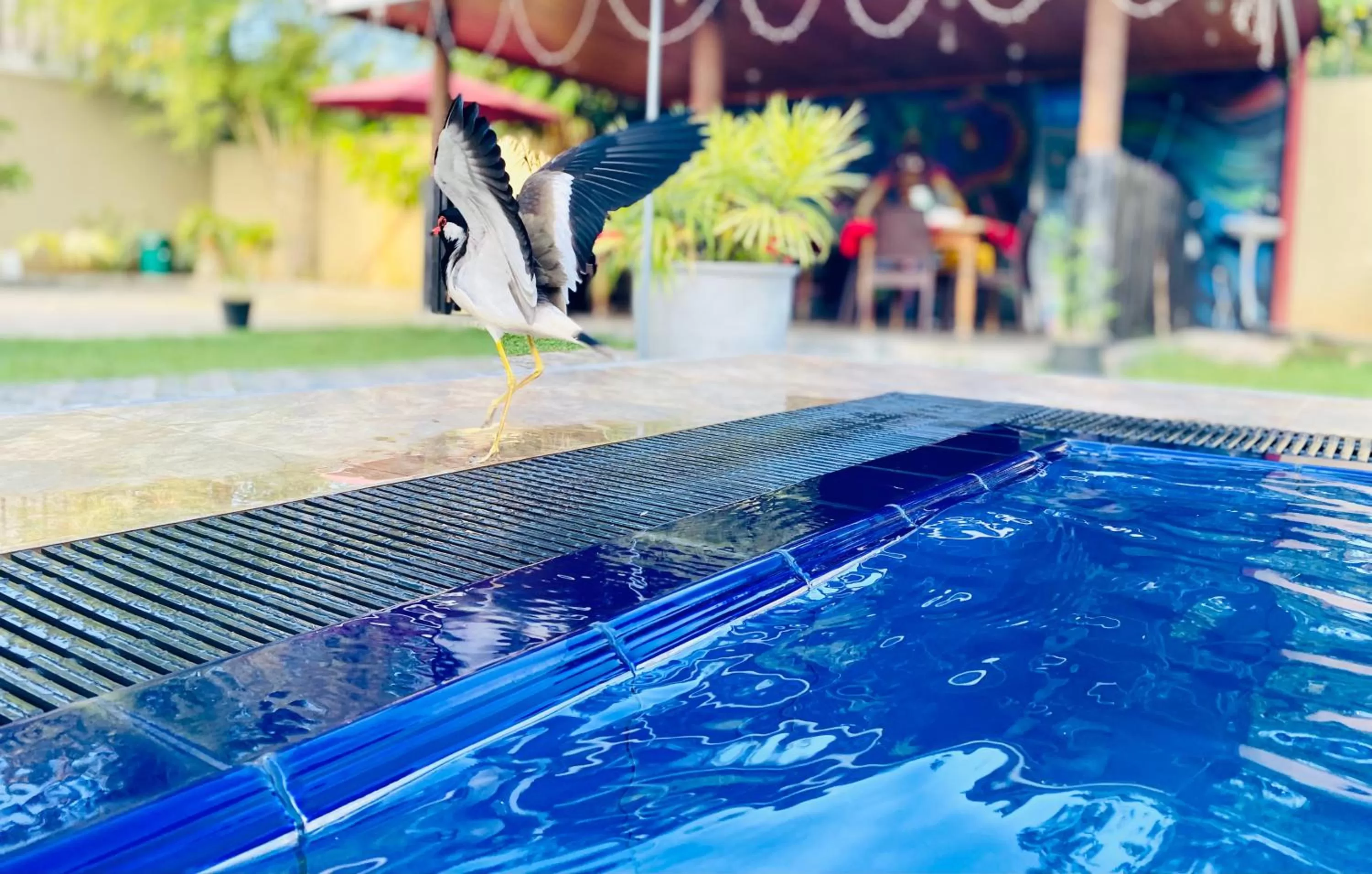 Day in The Kingslayer Resort