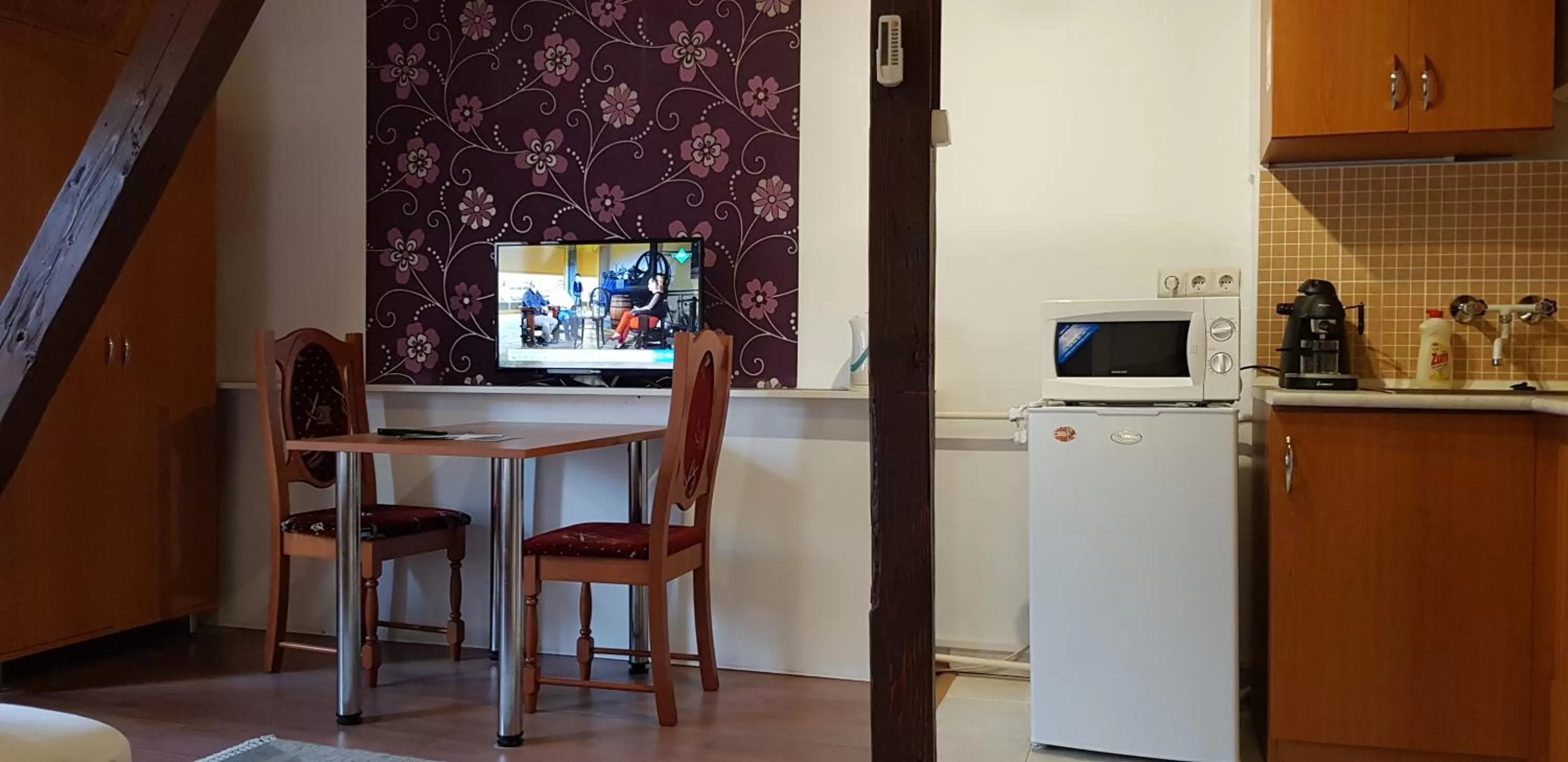 TV and multimedia in Central Panzió Gyula