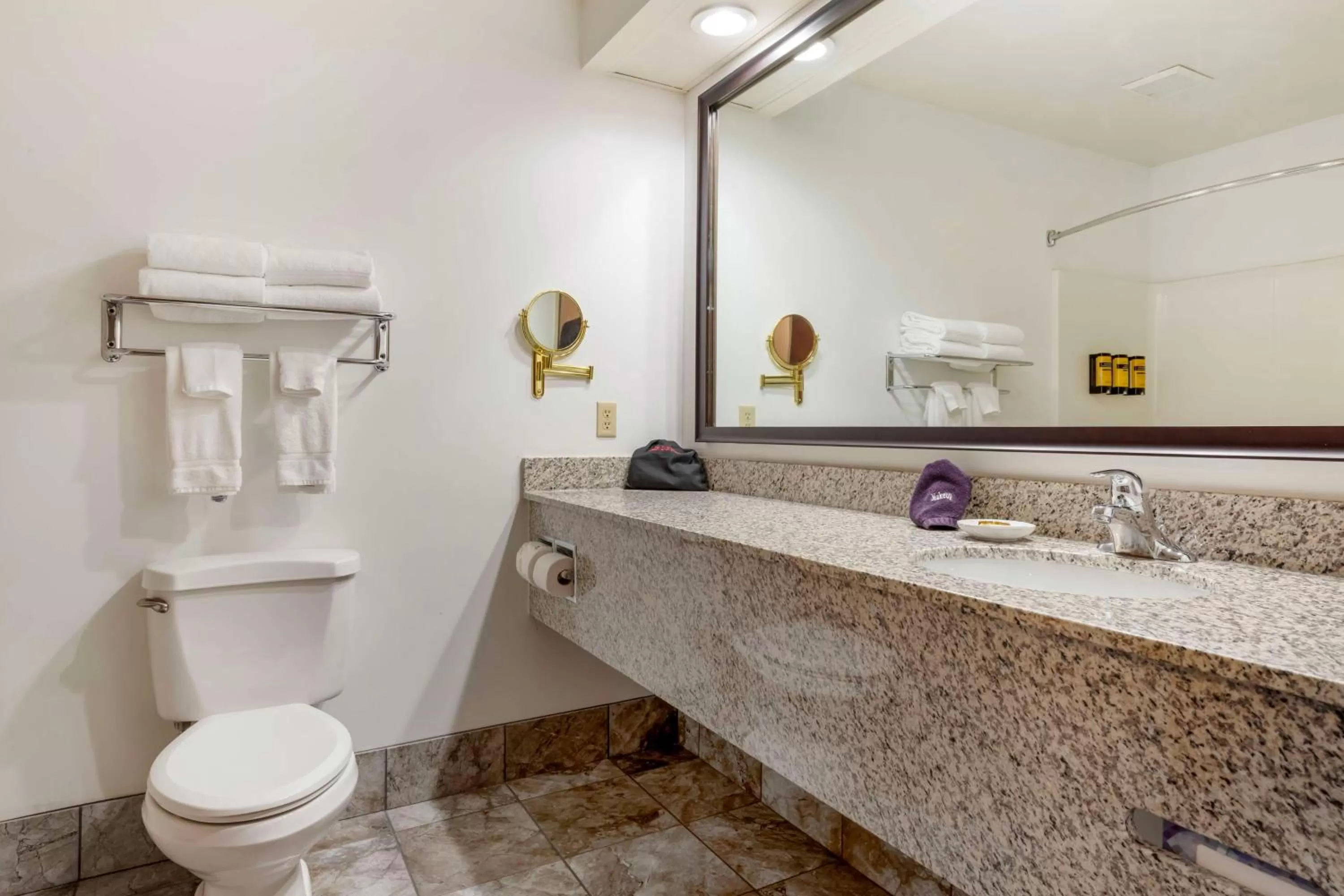 King Room with Communication Assistance in Best Western Plus Eau Claire Conference Center